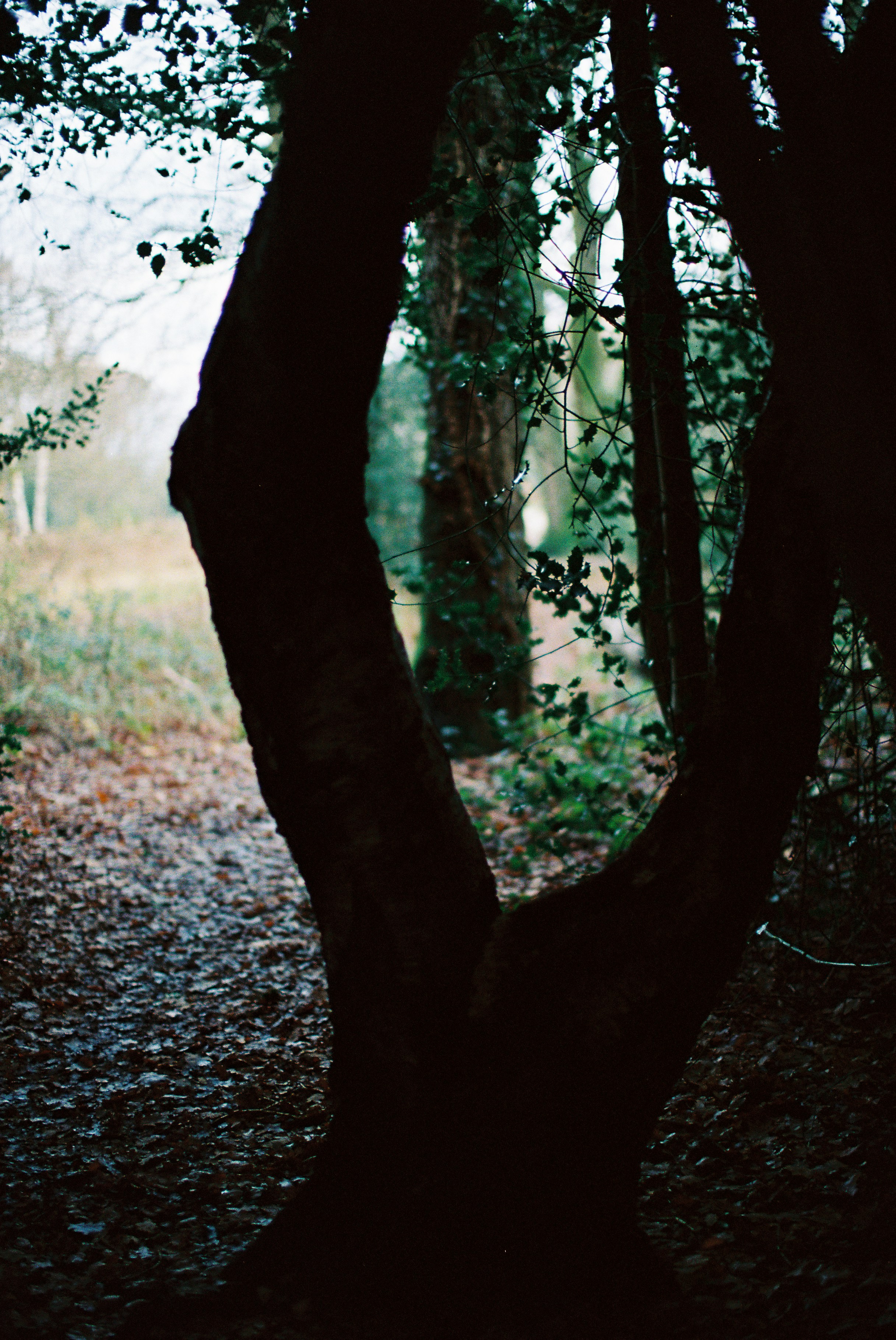 Photo by tanyabarrow