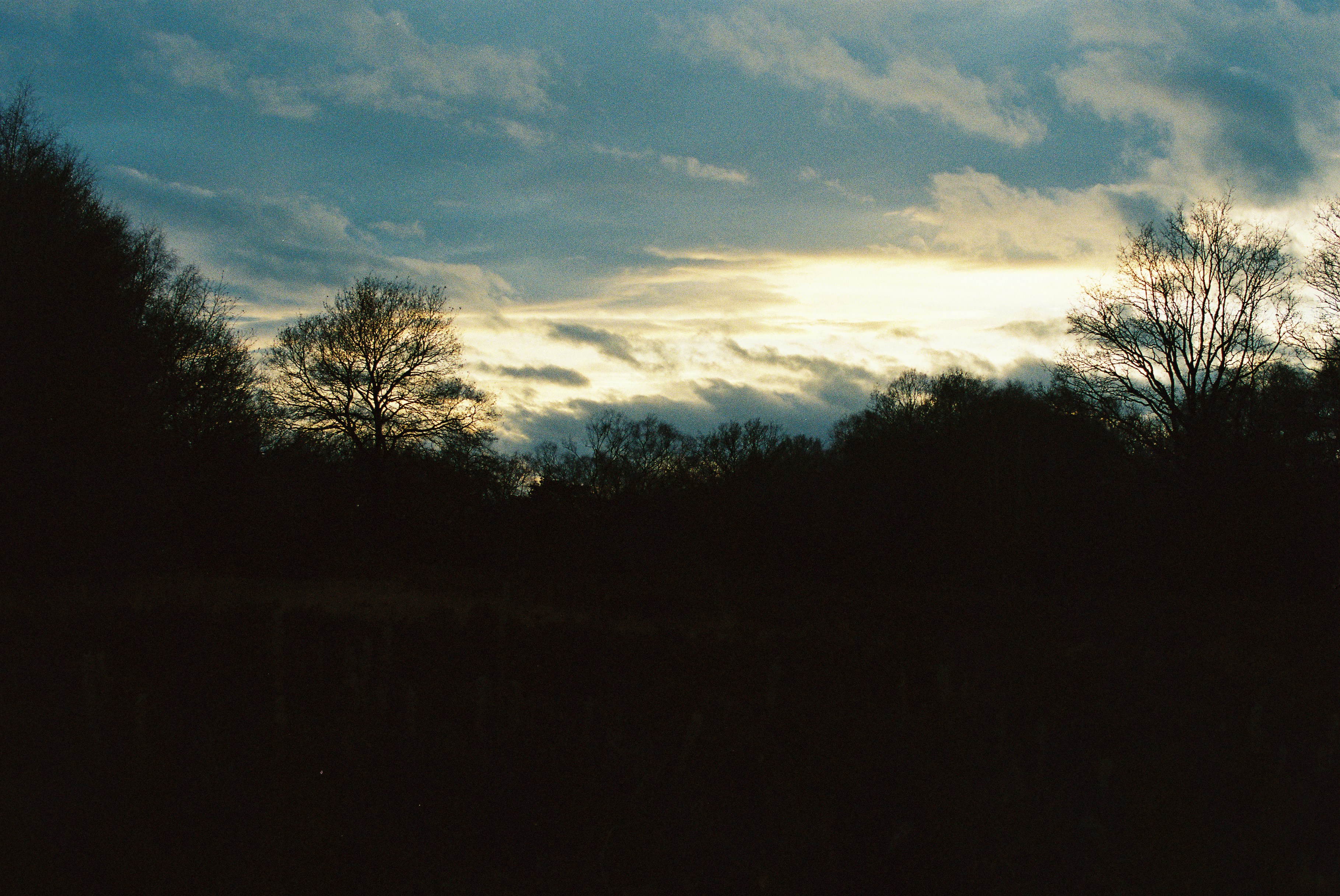 Photo by tanyabarrow