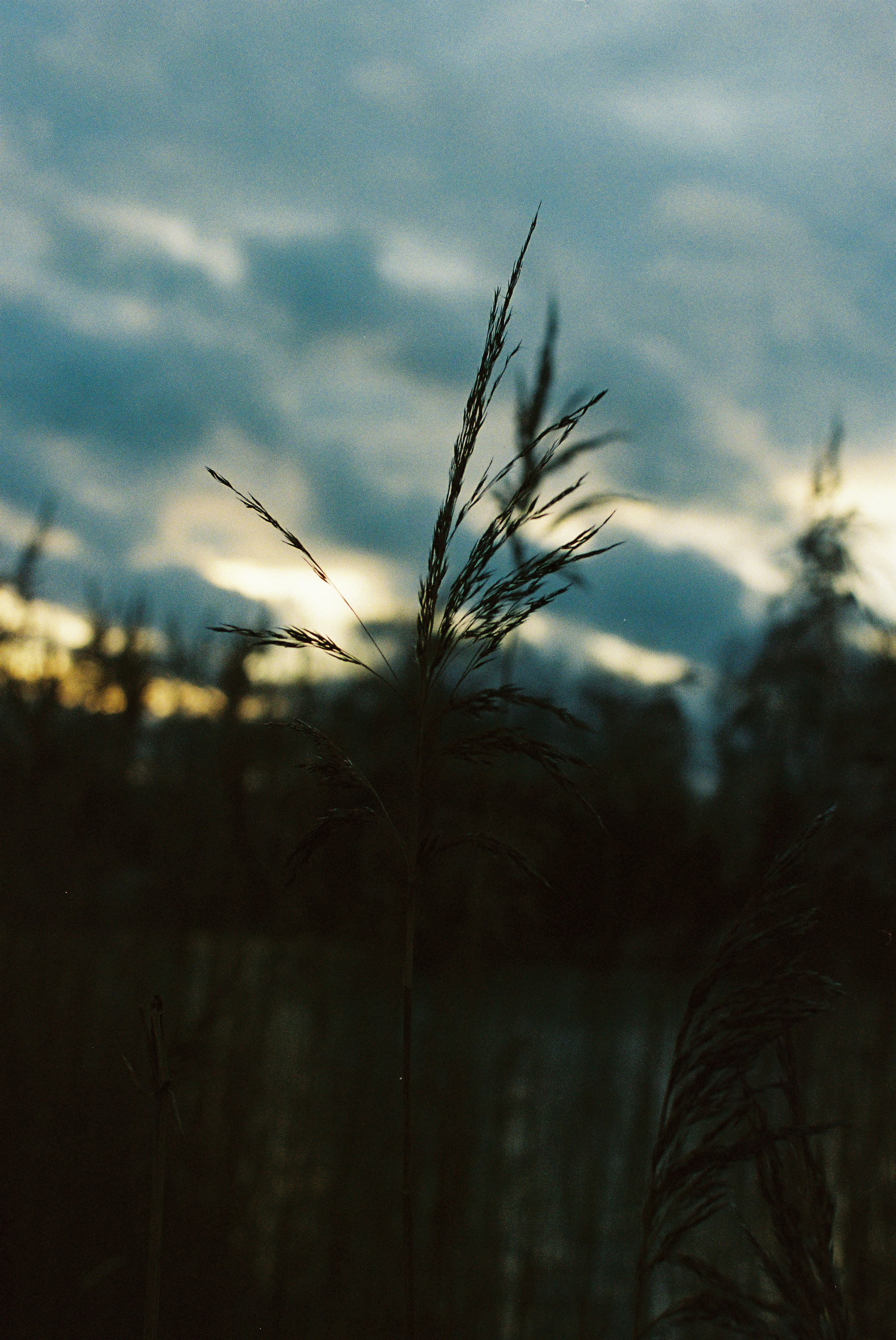 Photo by tanyabarrow