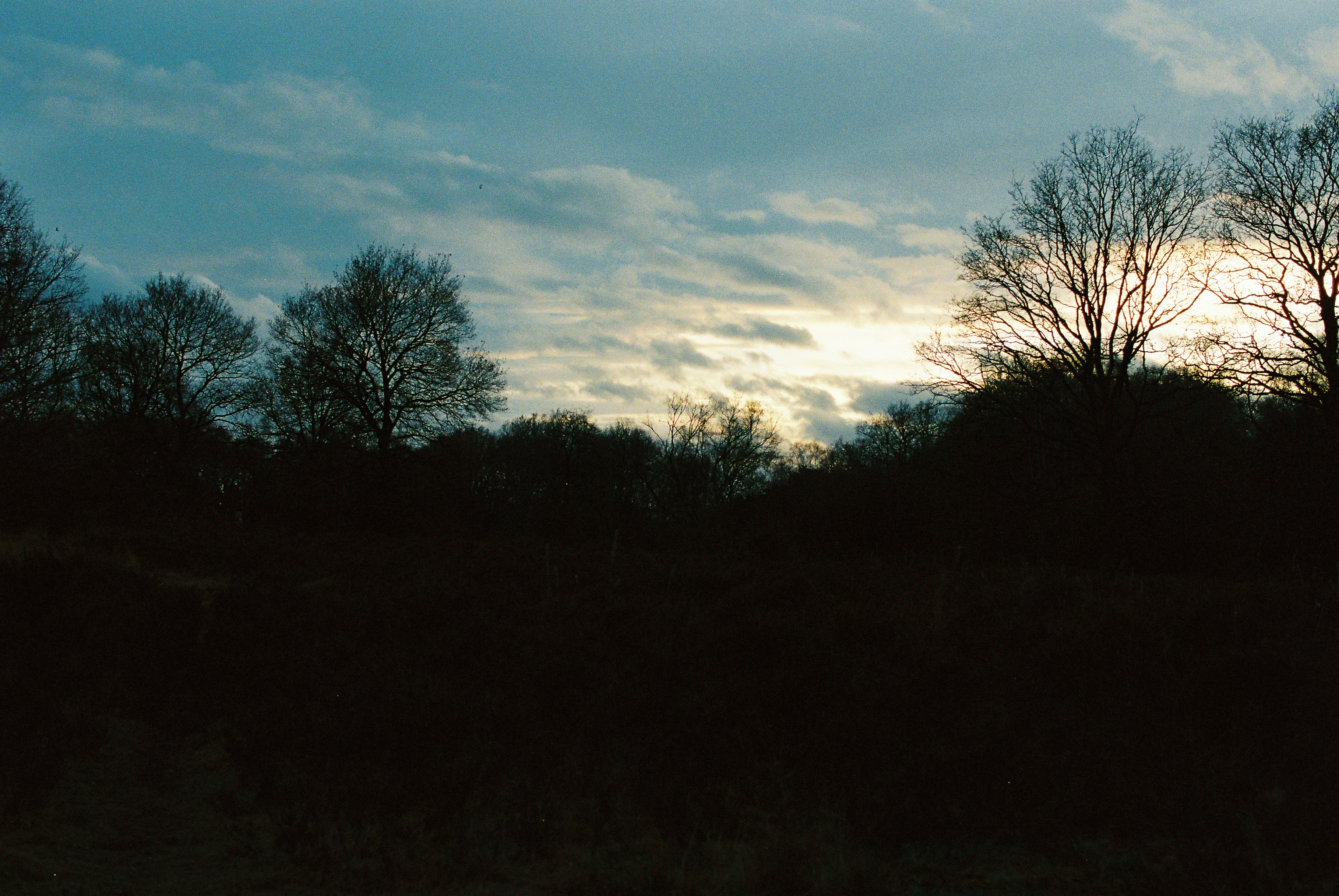 Photo by tanyabarrow