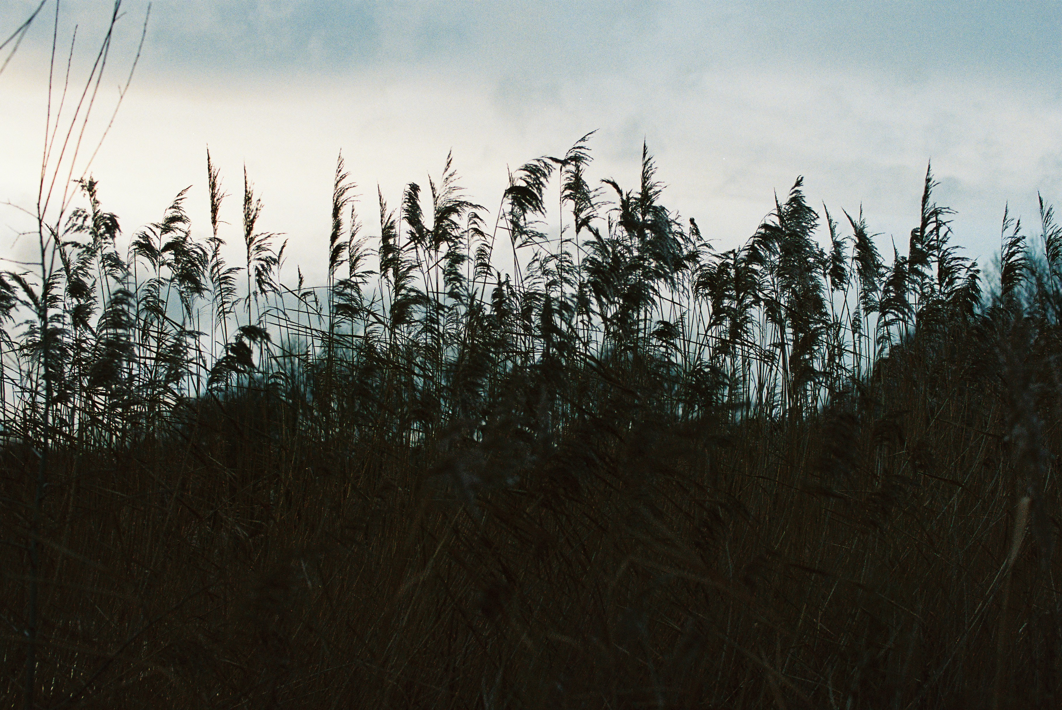 Photo by tanyabarrow