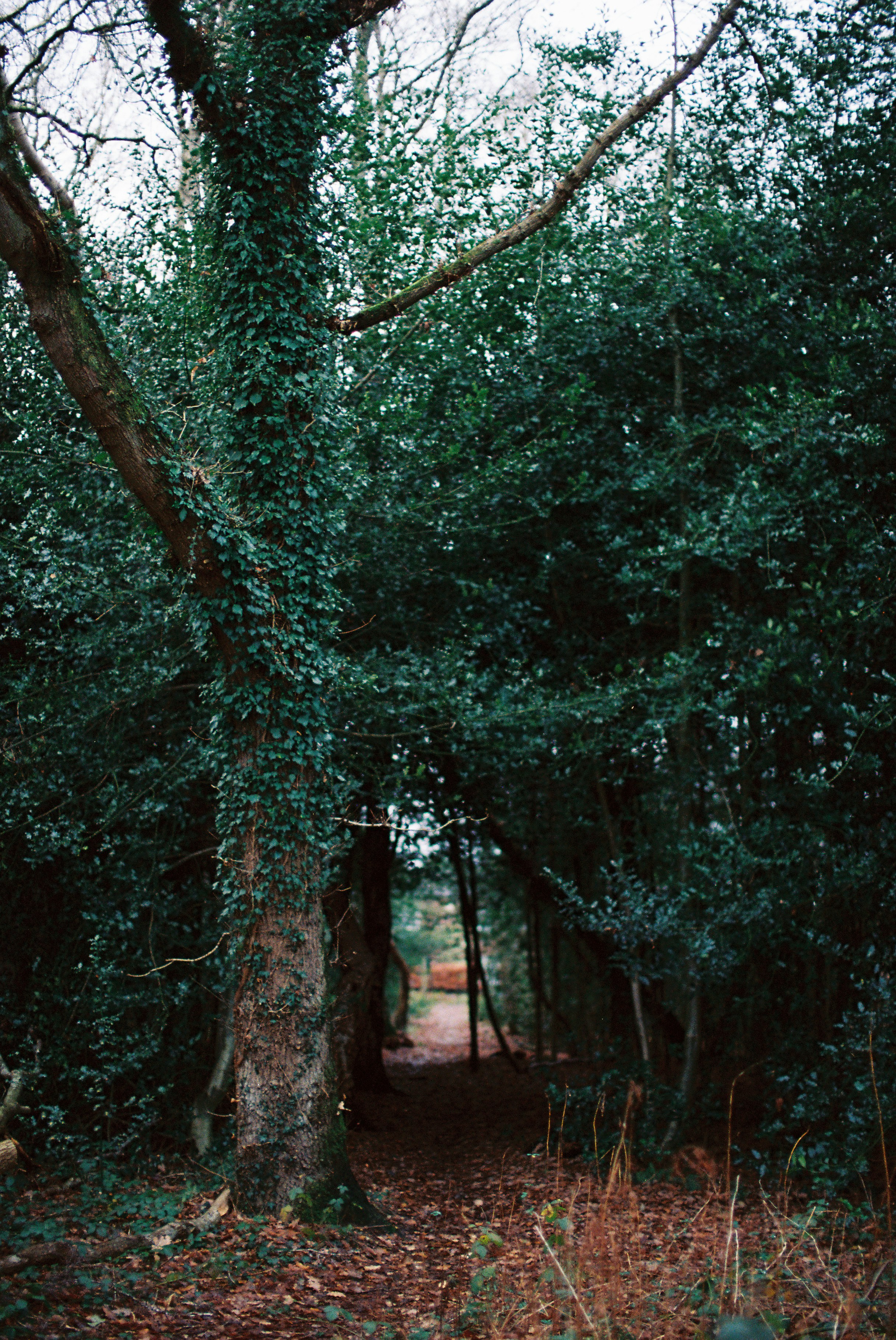 Photo by tanyabarrow