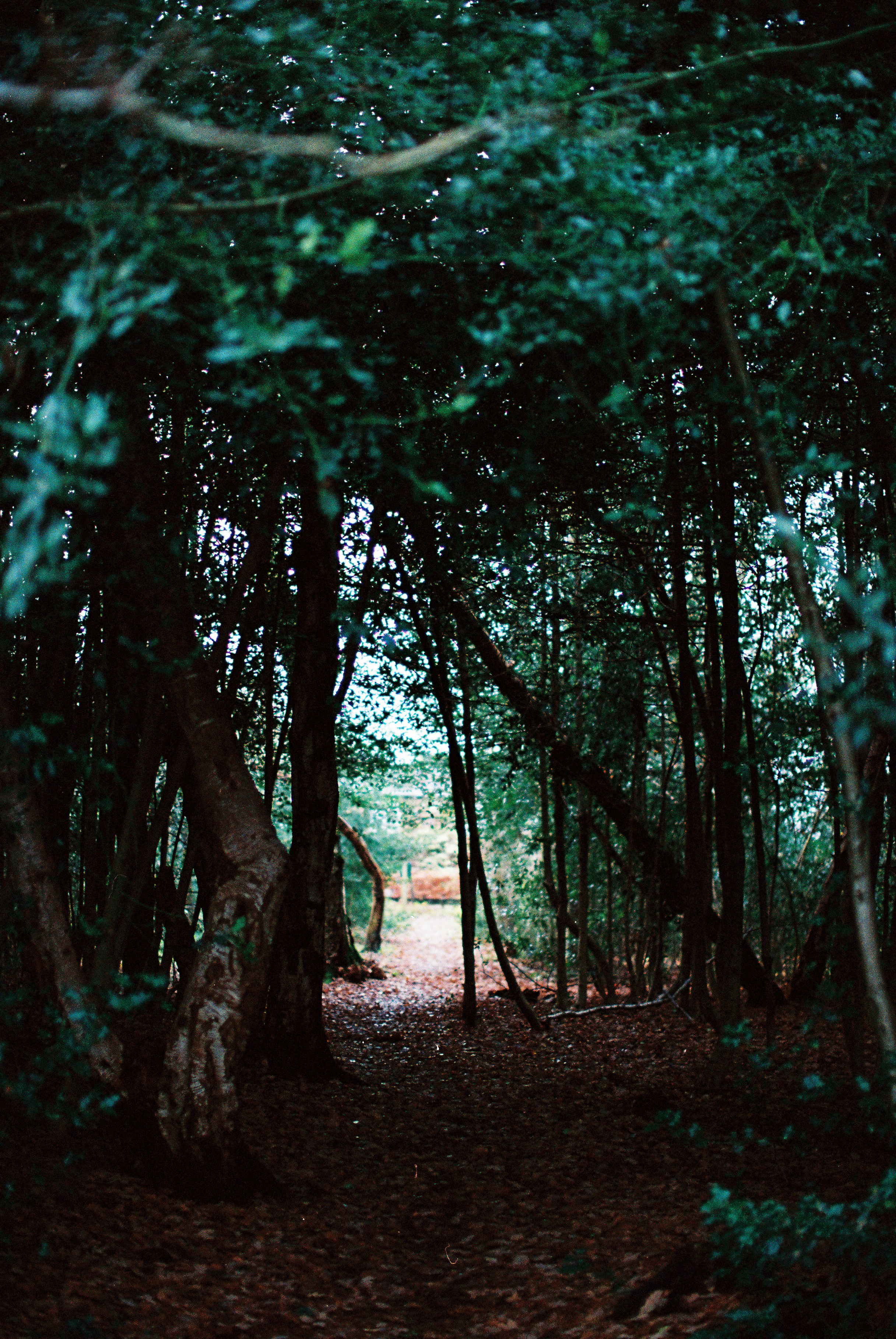 Photo by tanyabarrow