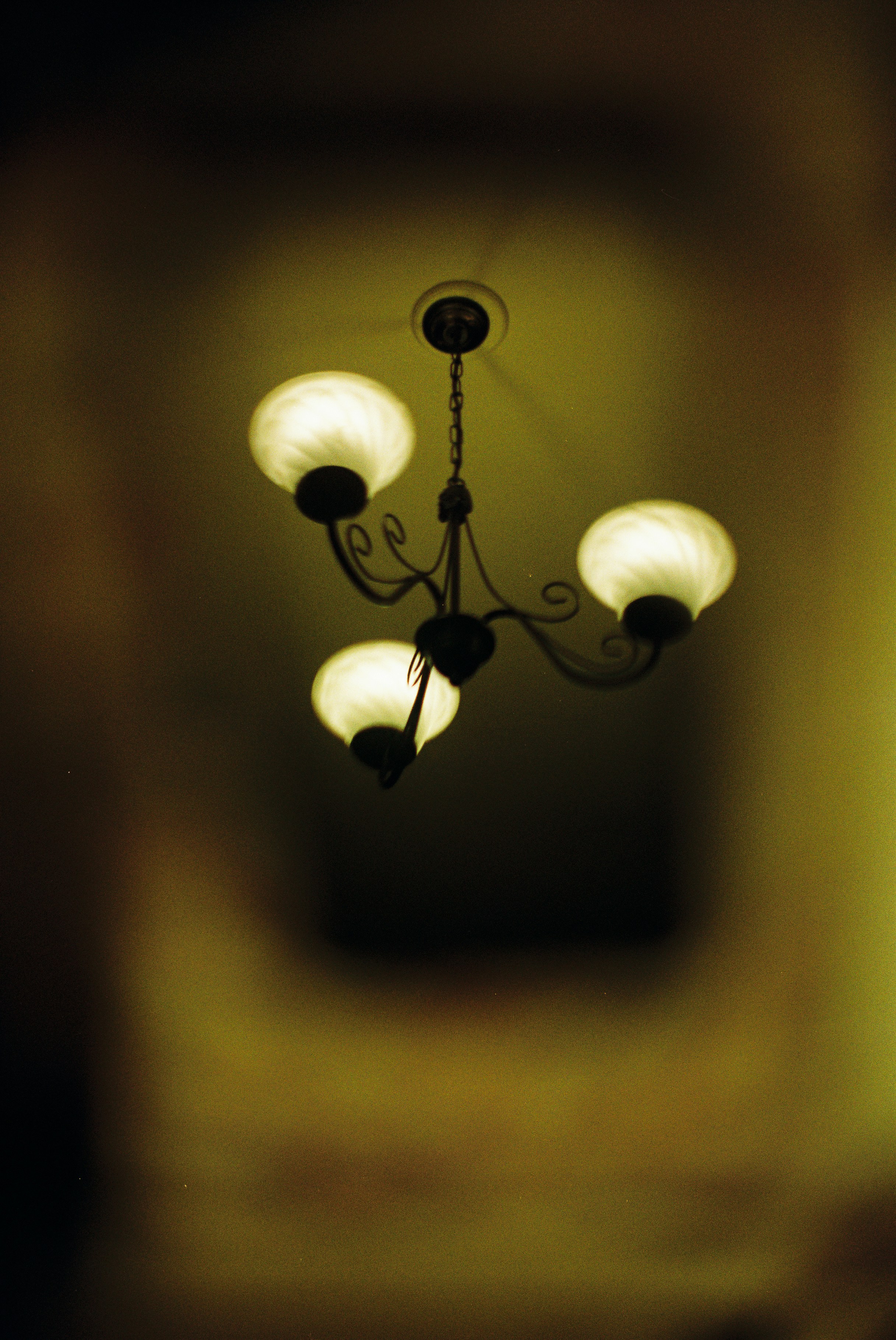 Photo by tanyabarrow