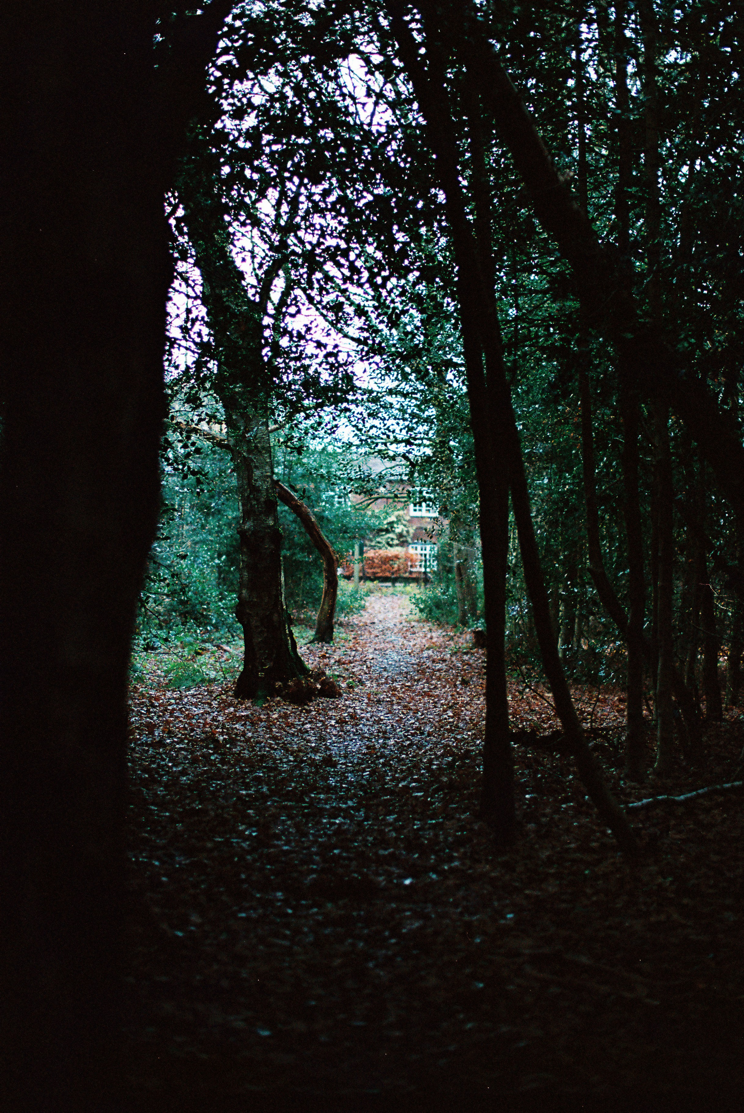 Photo by tanyabarrow