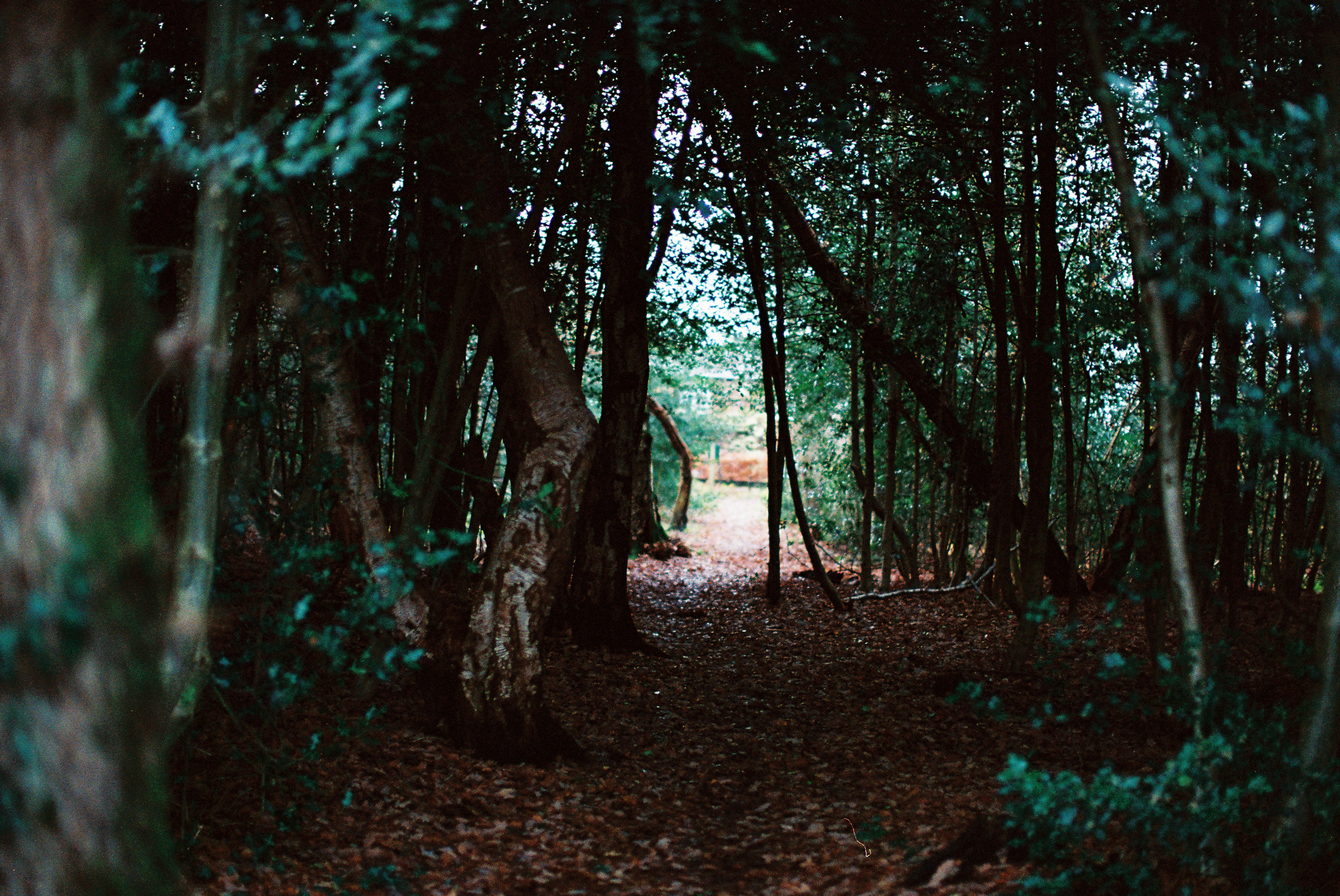 Photo by tanyabarrow