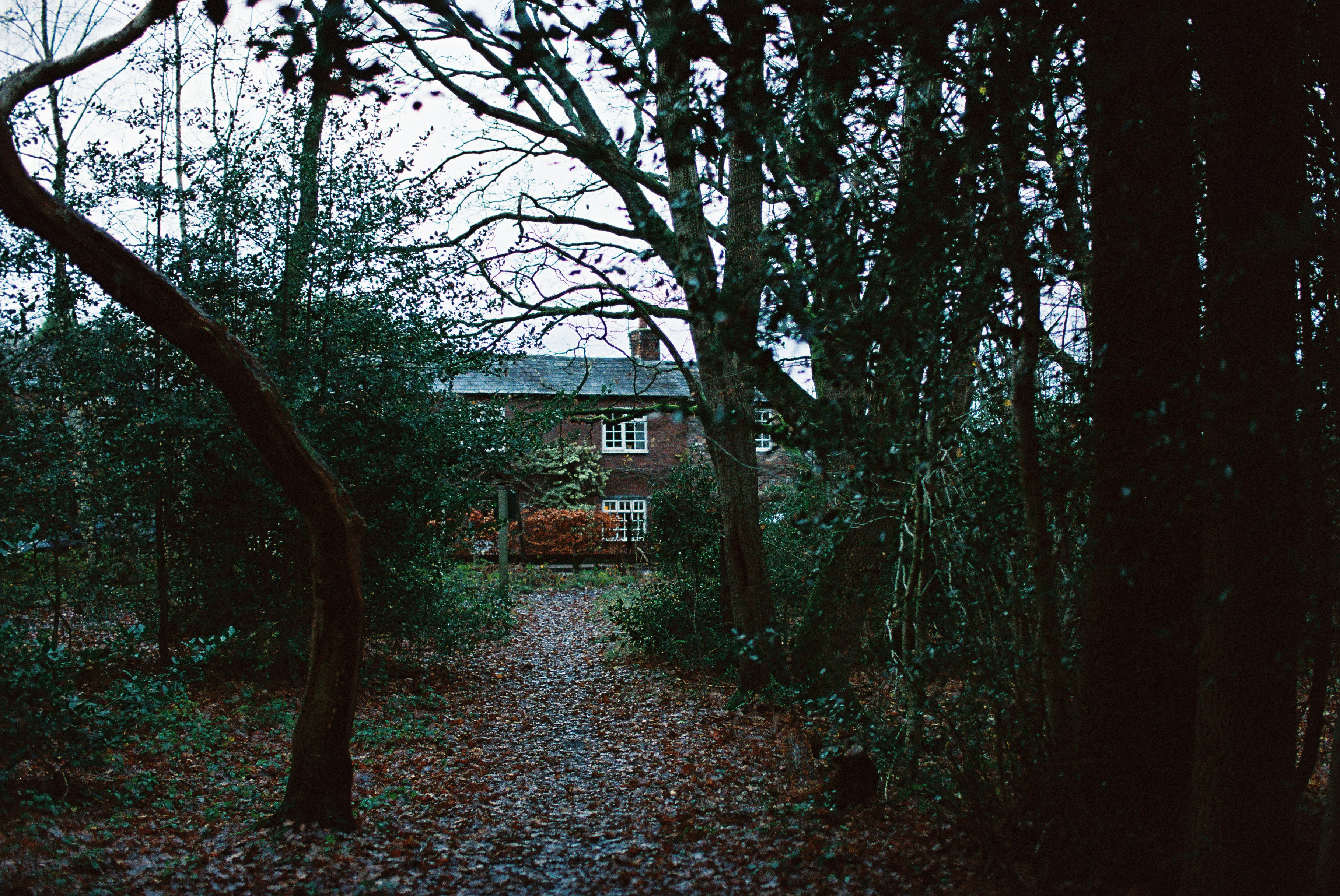 Photo by tanyabarrow