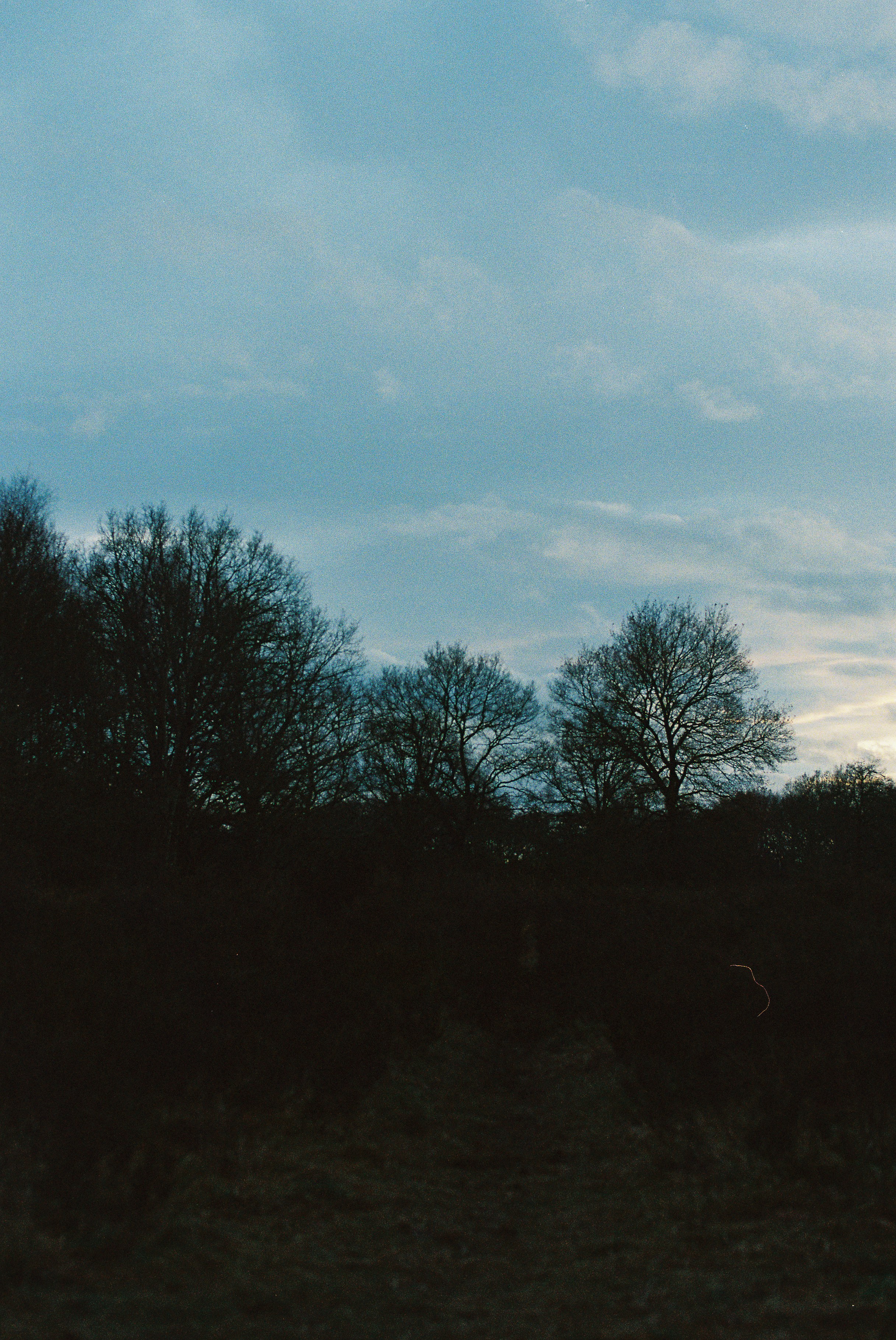 Photo by tanyabarrow