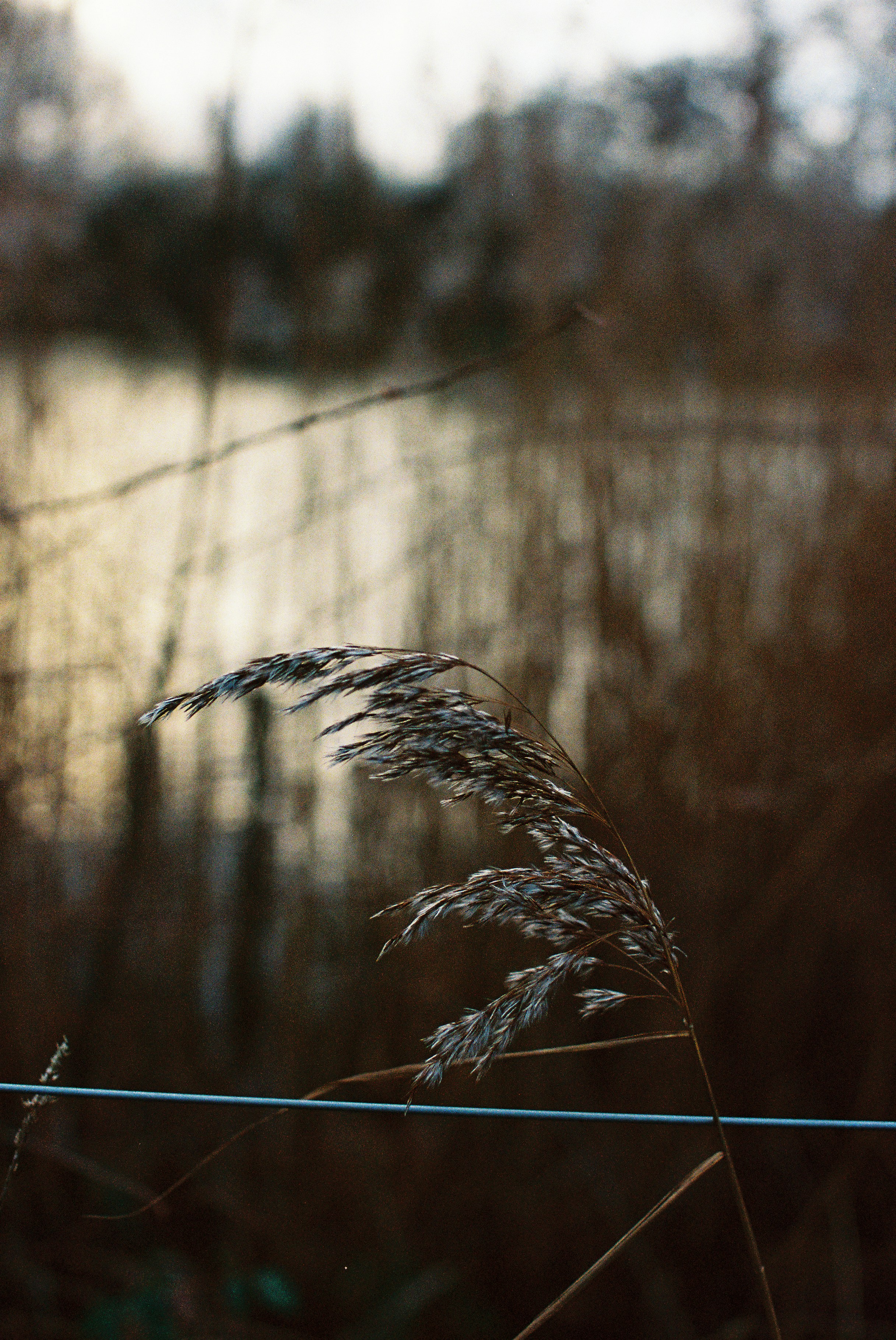 Photo by tanyabarrow