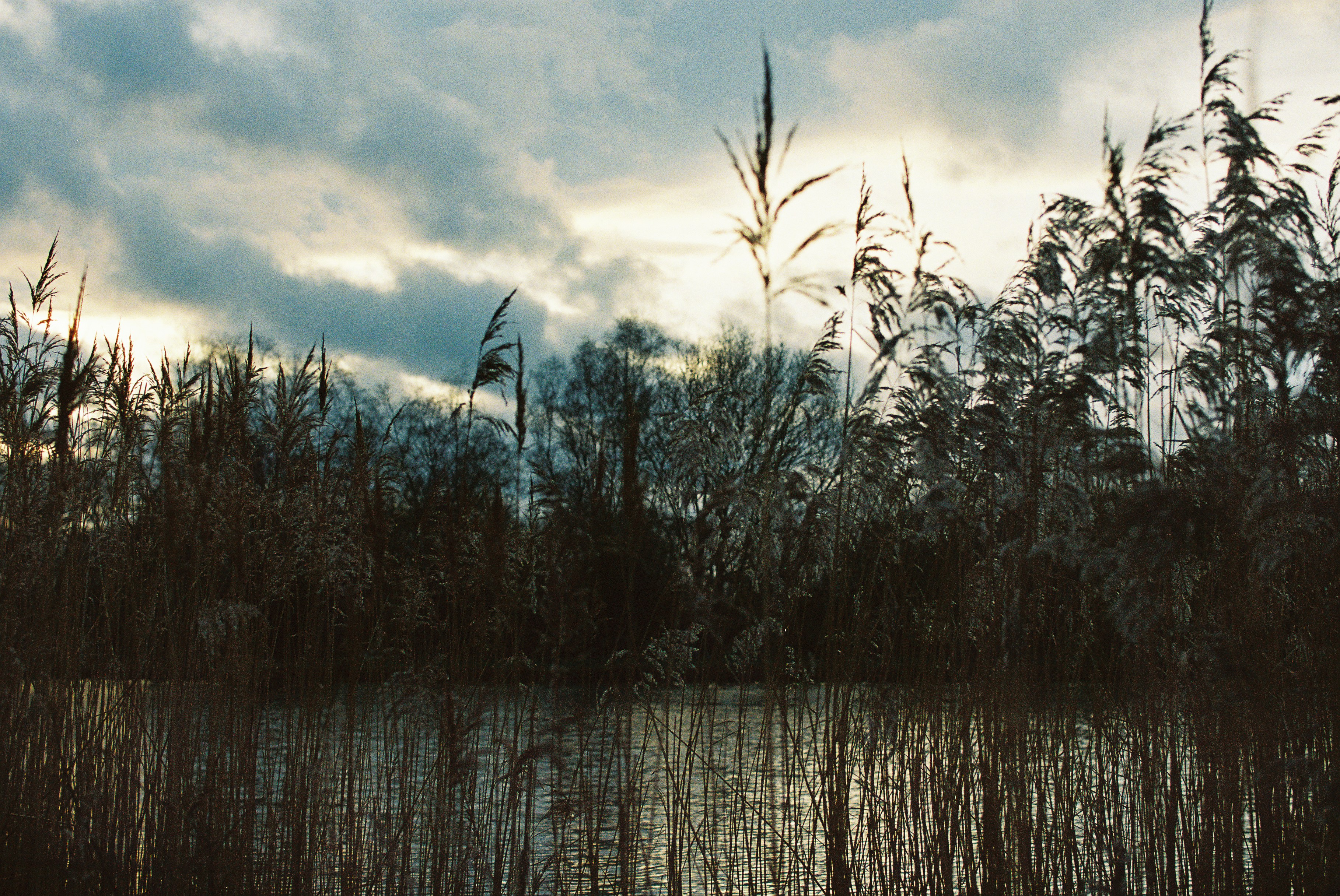 Photo by tanyabarrow