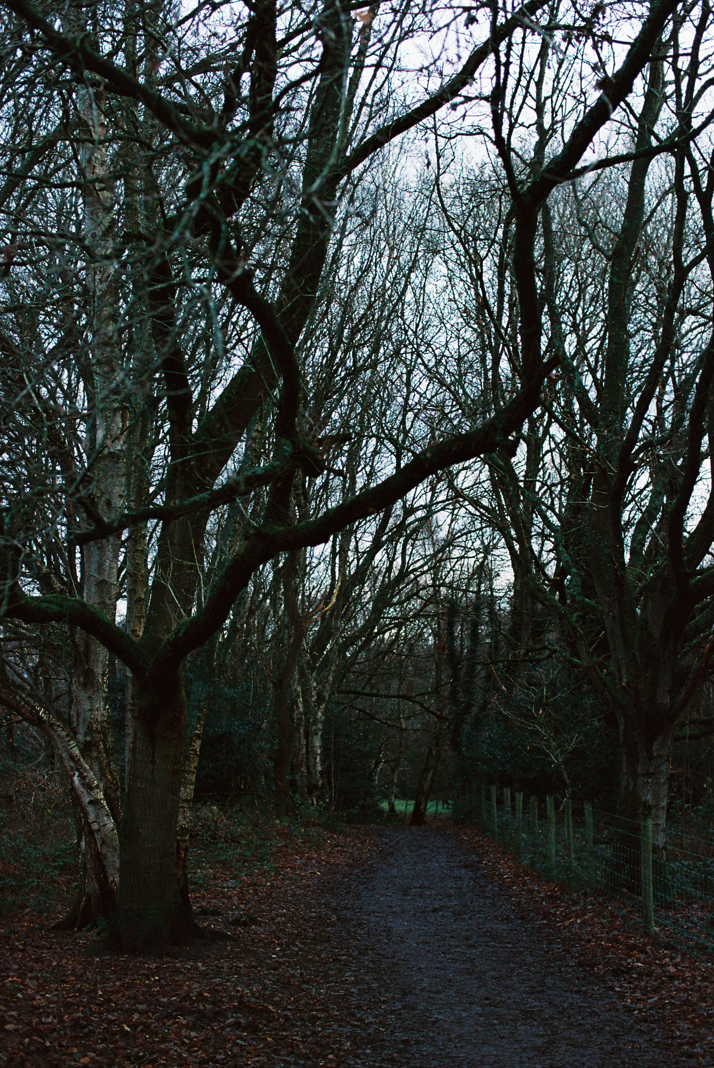 Photo by tanyabarrow