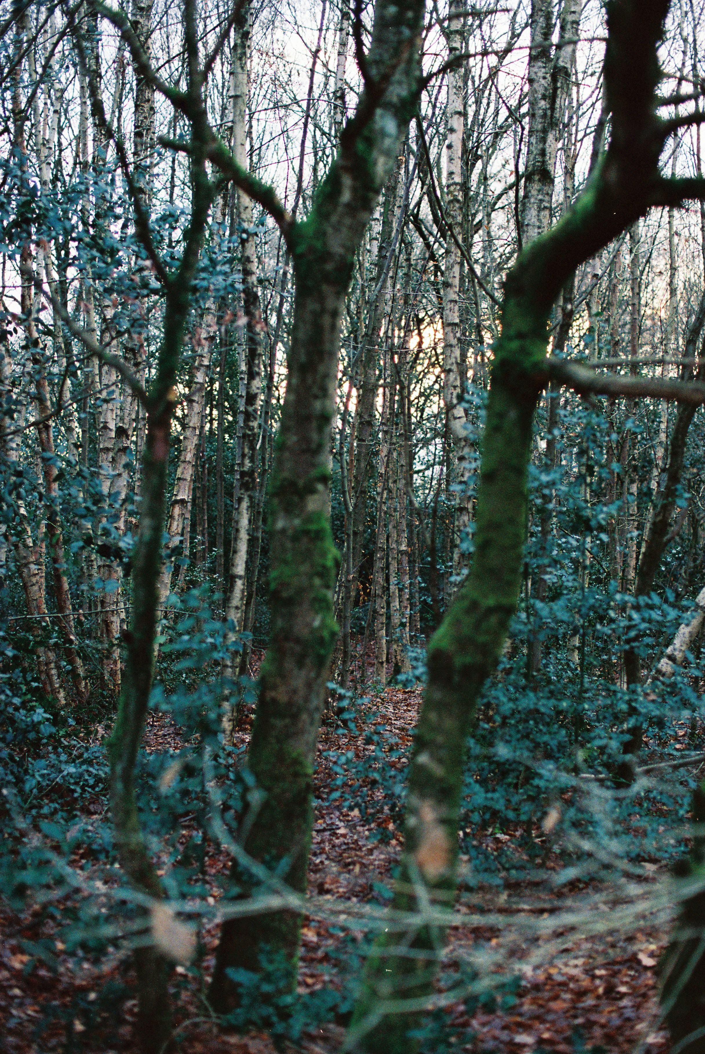 Photo by tanyabarrow