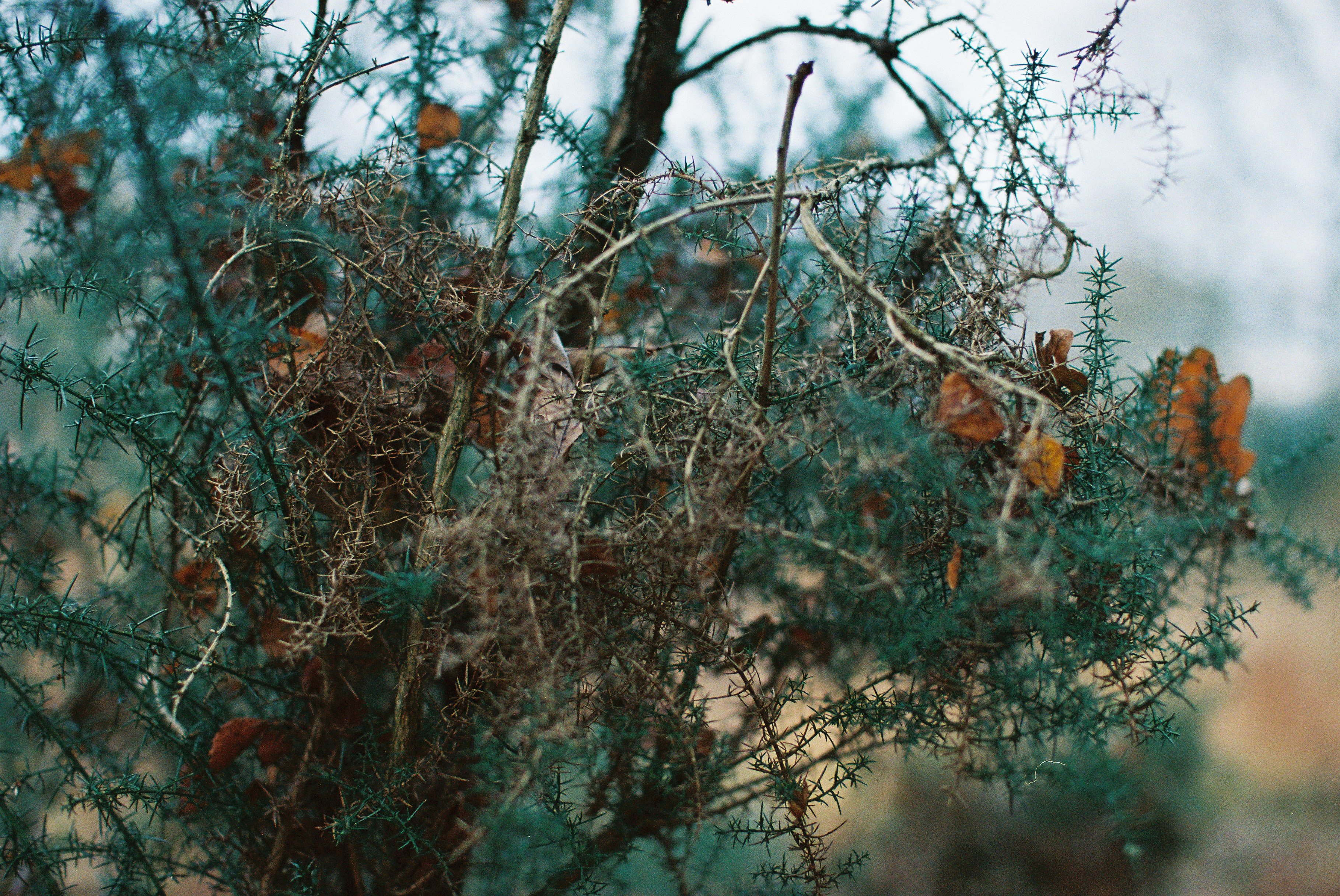 Photo by tanyabarrow