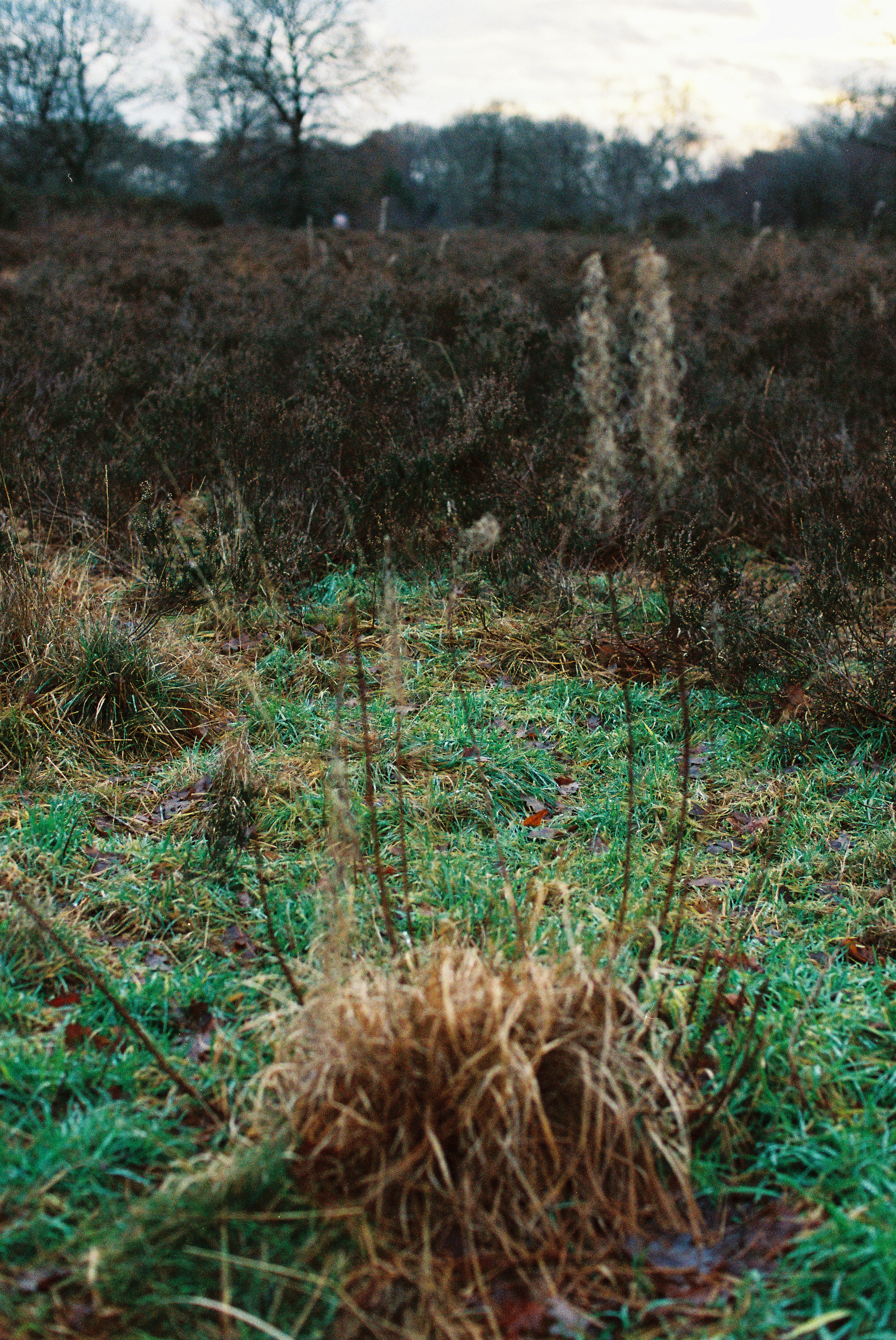 Photo by tanyabarrow