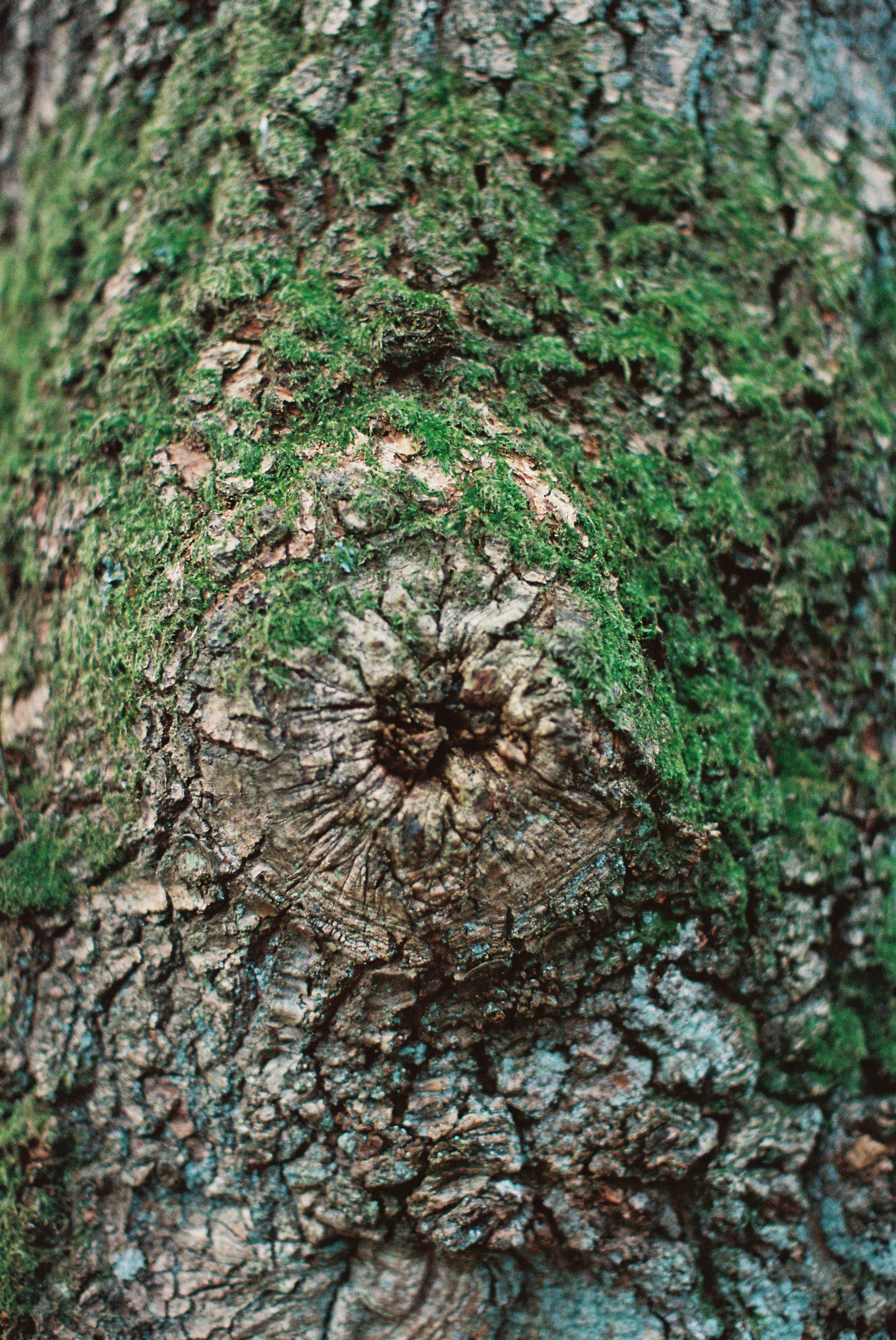 Photo by tanyabarrow