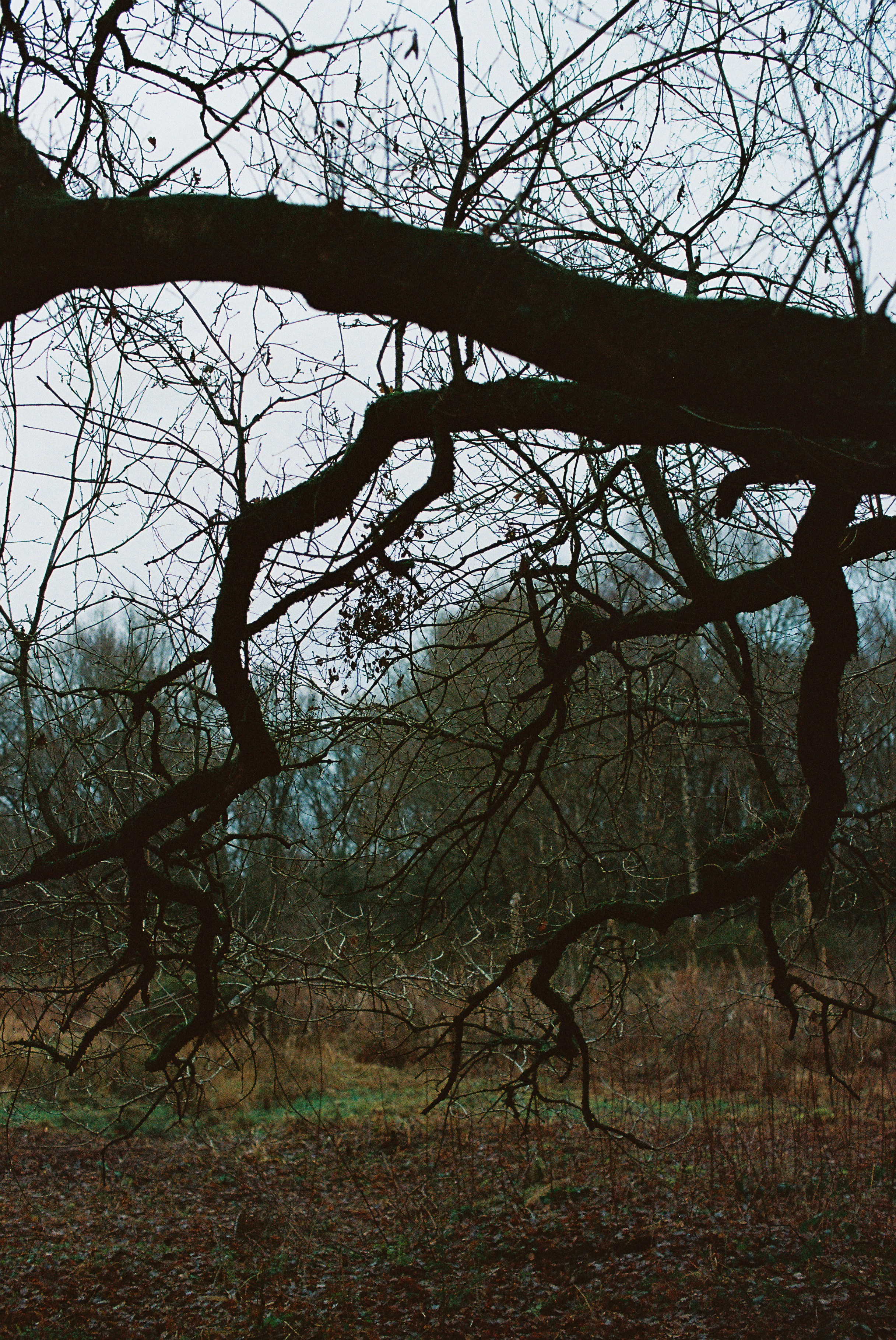 Photo by tanyabarrow