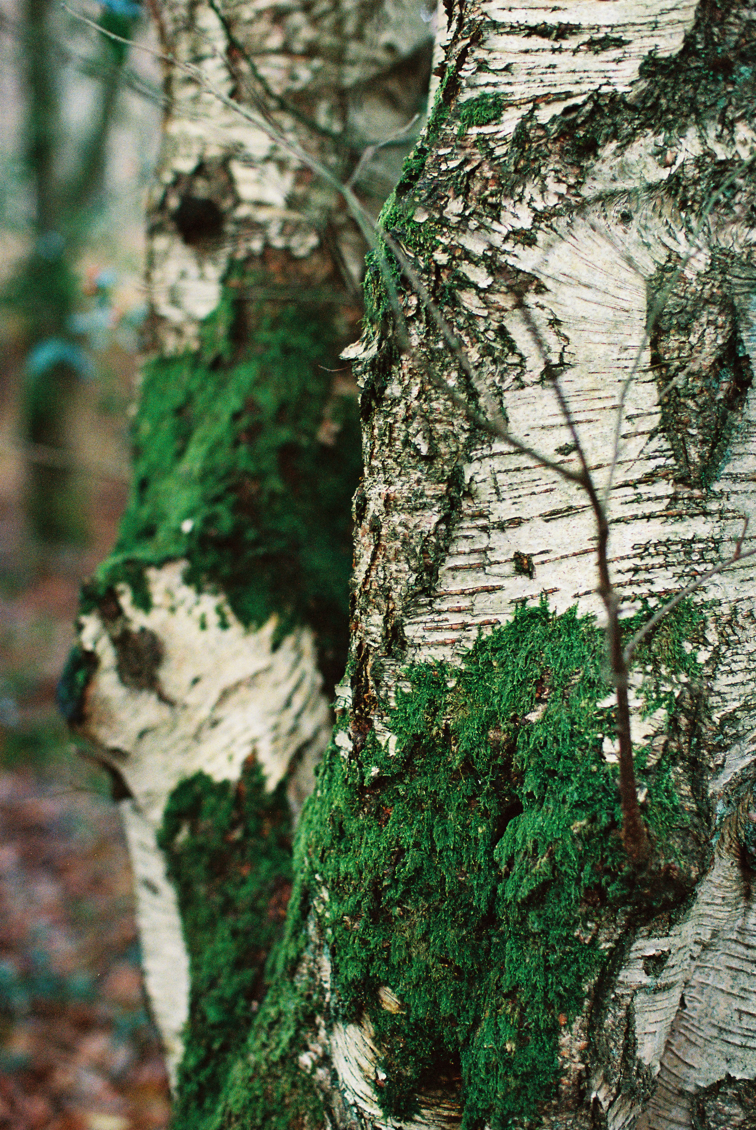 Photo by tanyabarrow