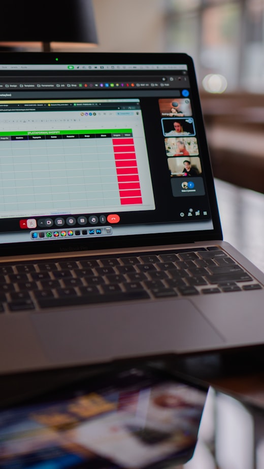 Laptop screen showing a spreadsheet with data entries