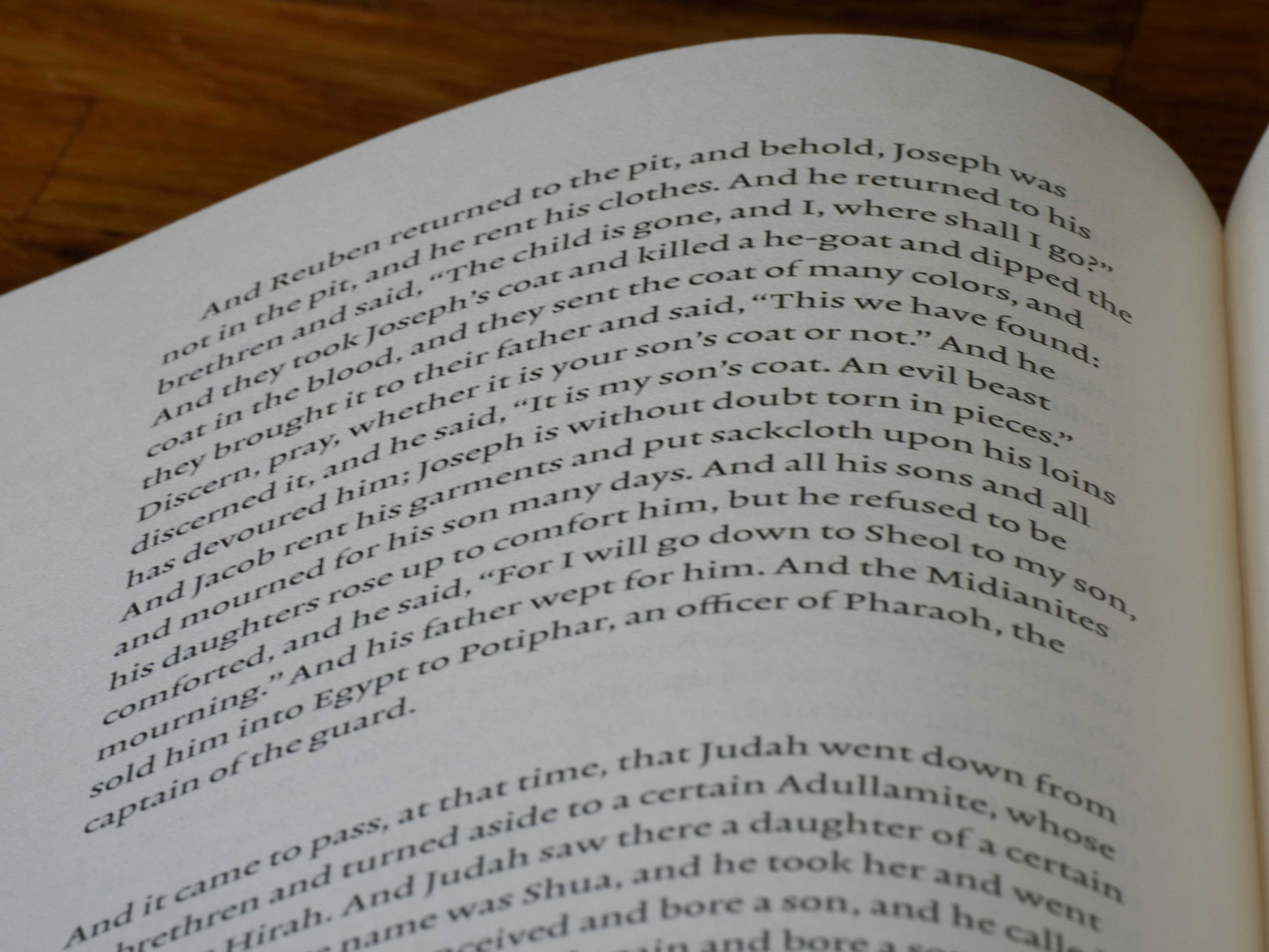 Photo by brett_jordan