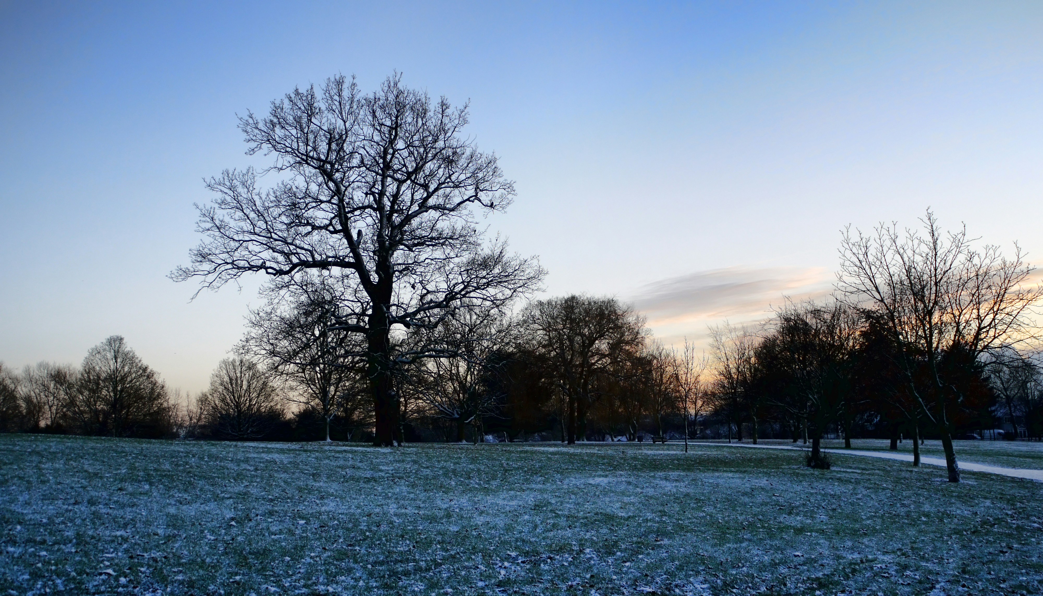 Photo by brett_jordan