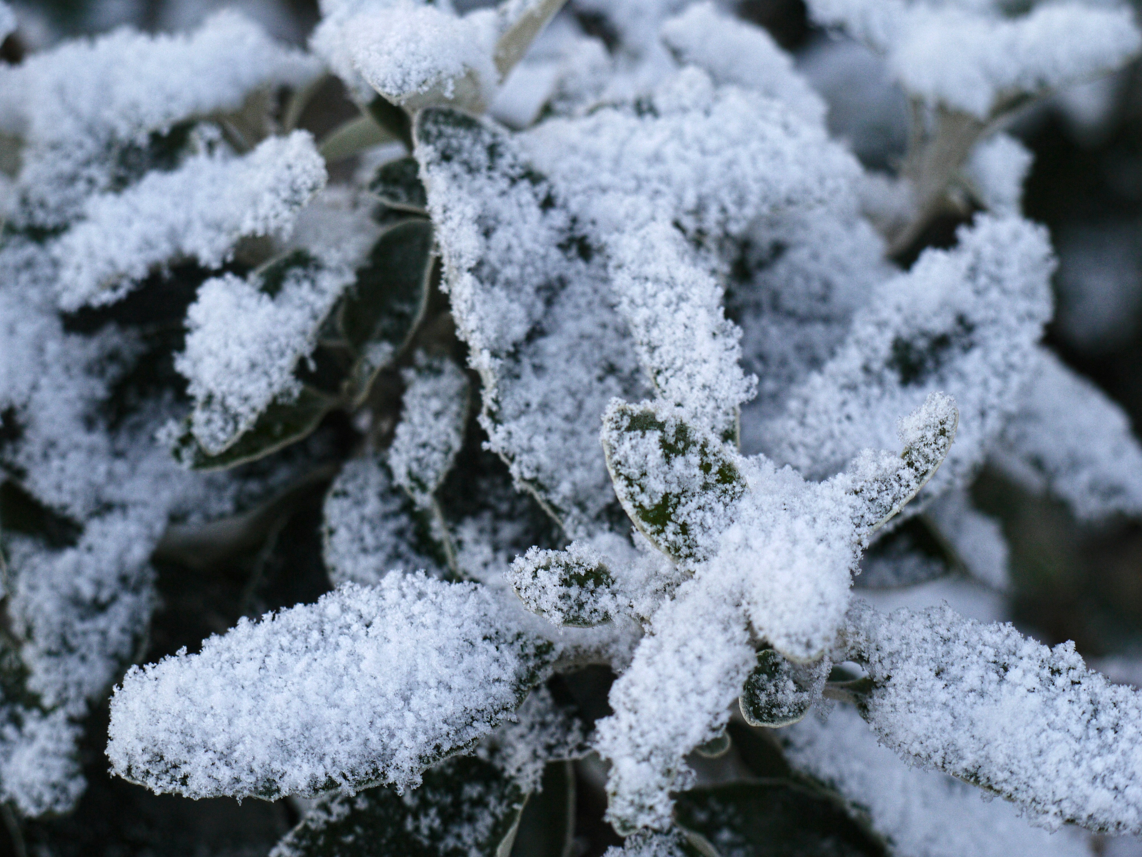 Photo by brett_jordan