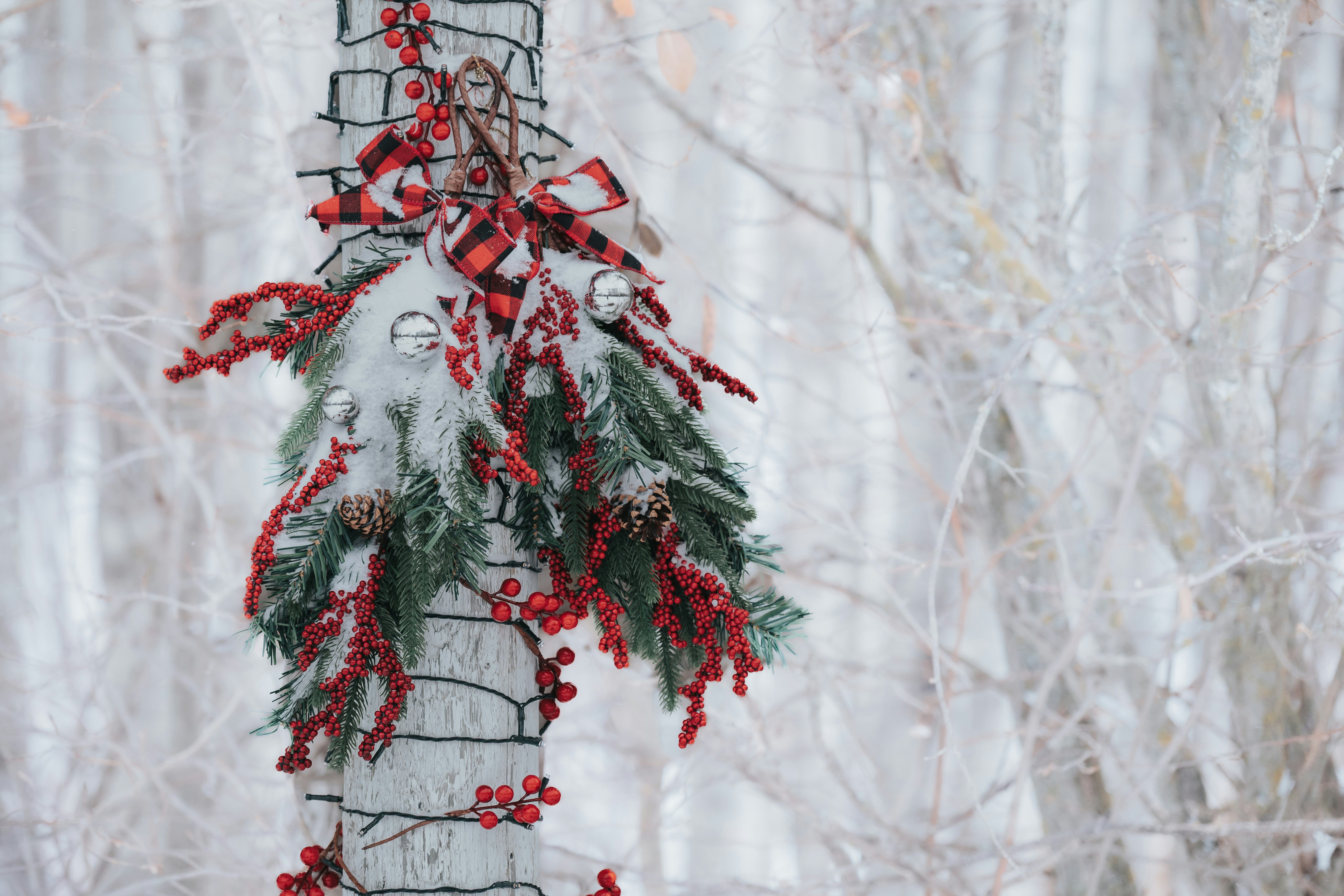A festive holiday decoration on a snowy tree.