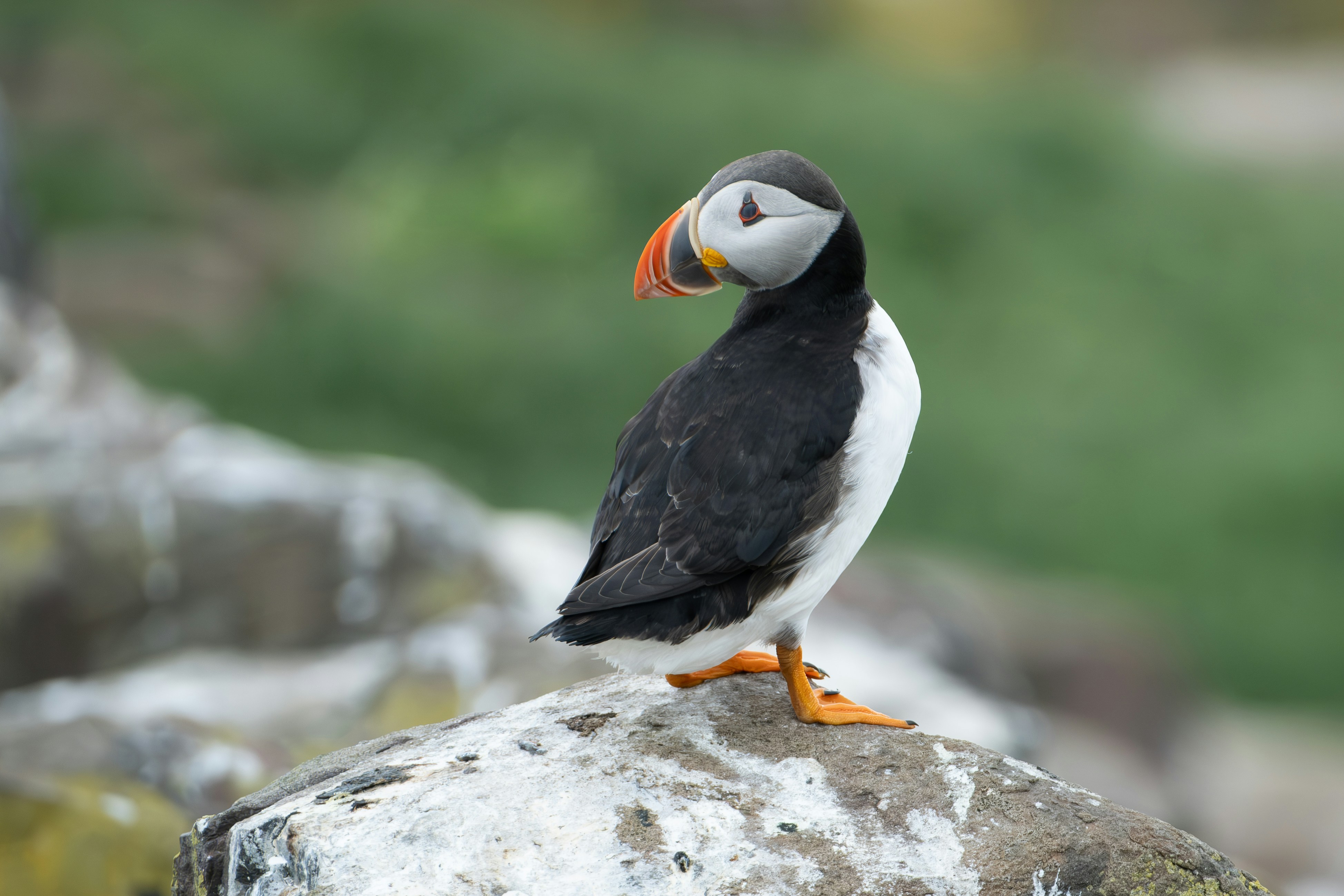 Photo by philrobson100