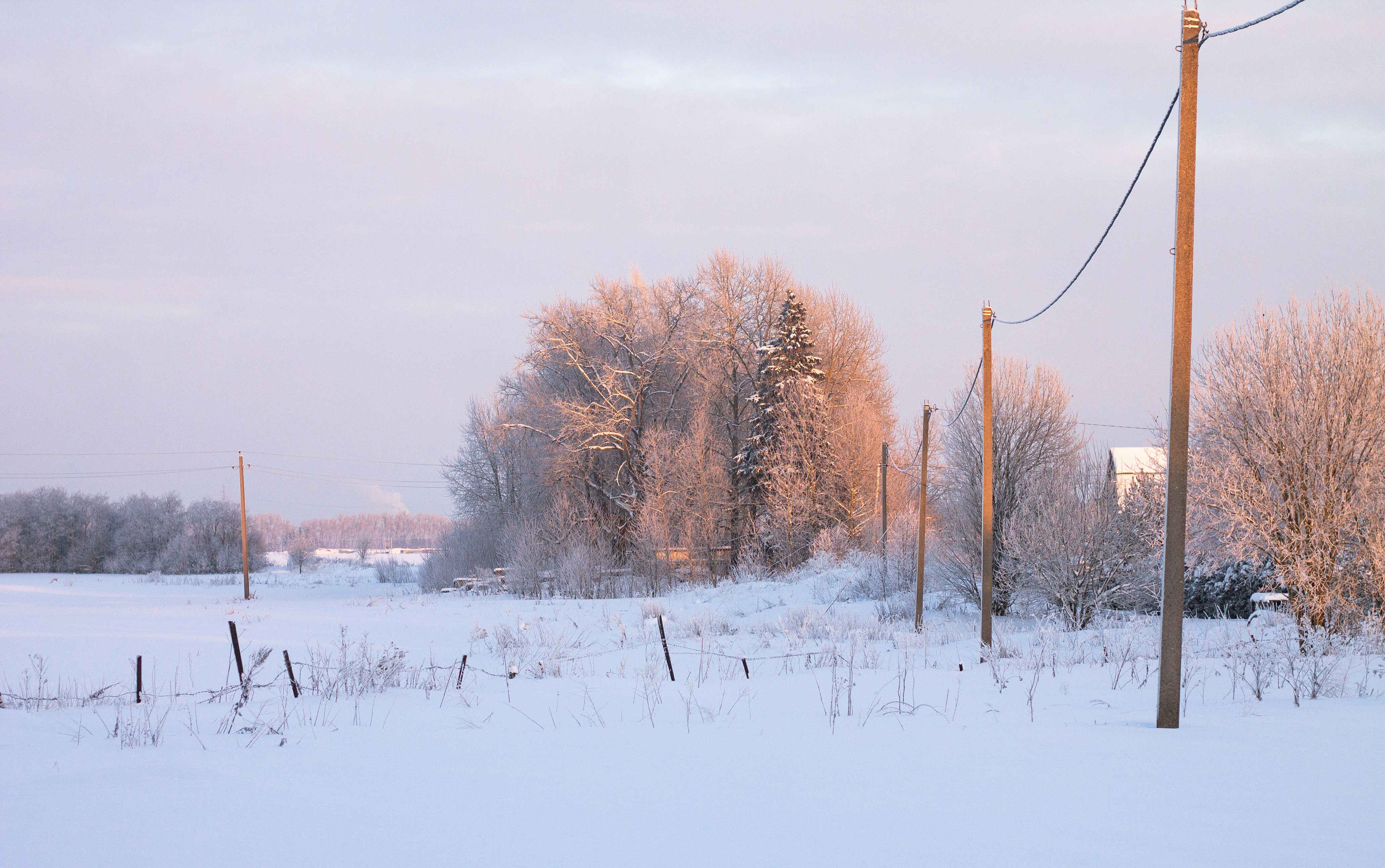 Photo by santyagoeba