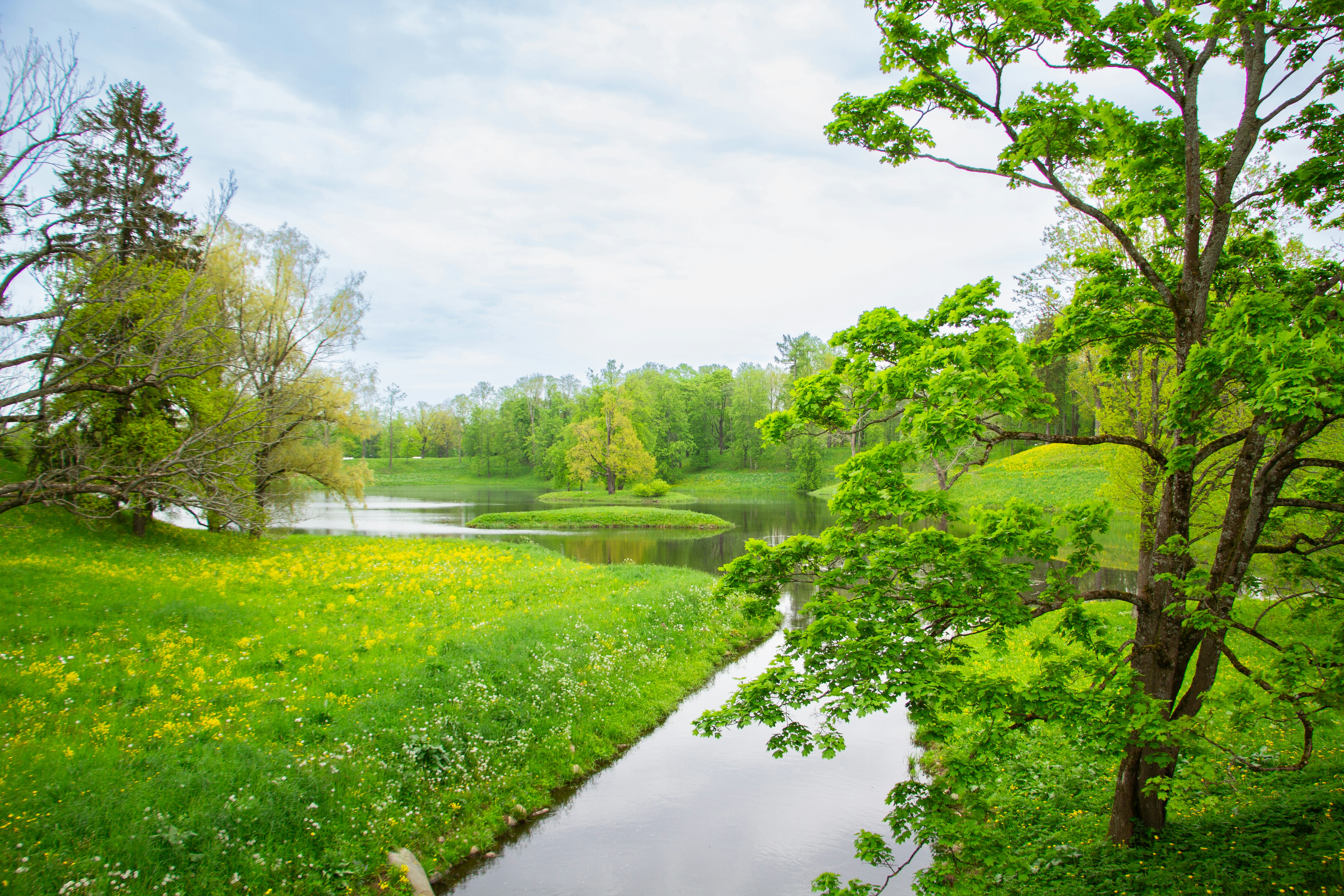 Photo by santyagoeba