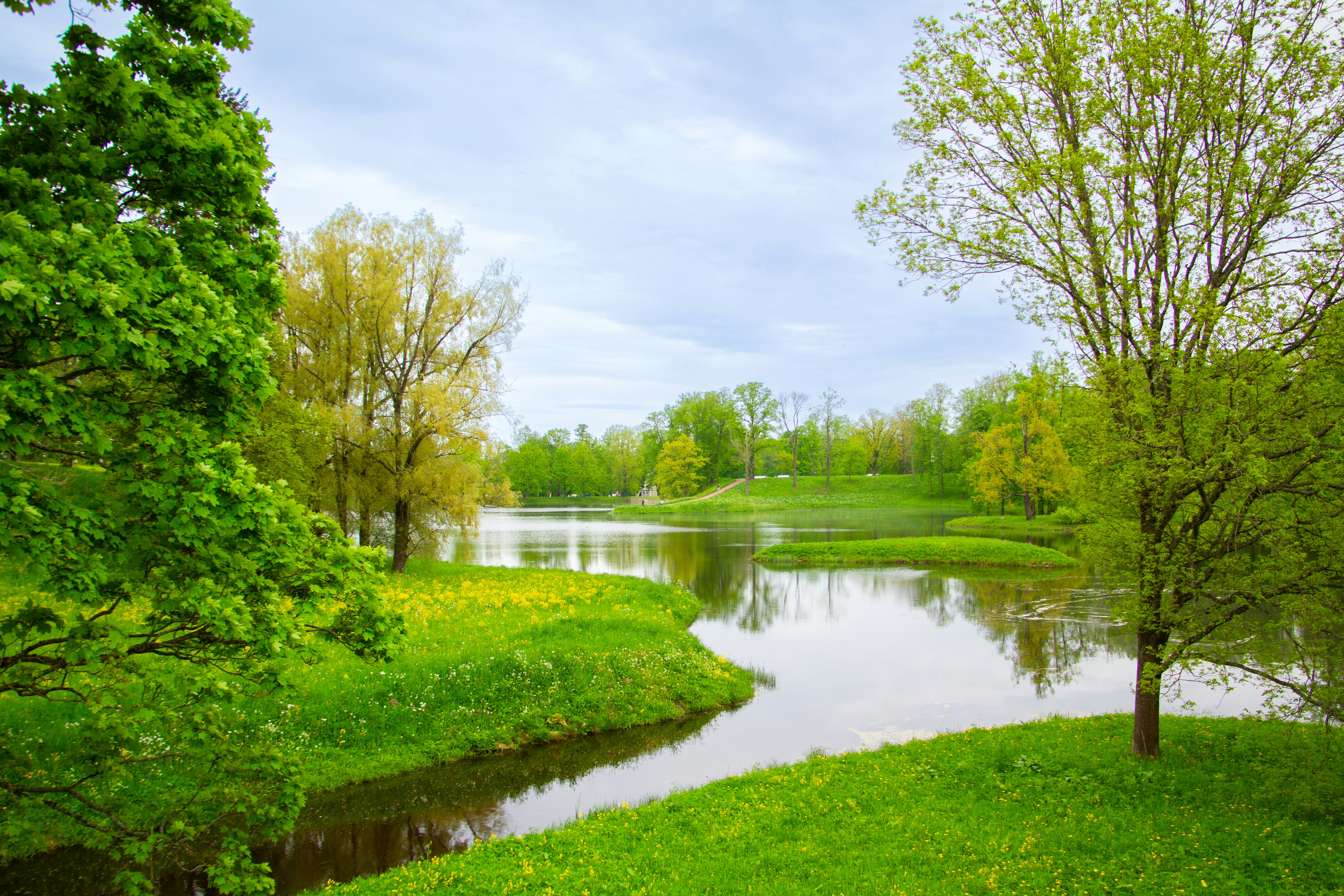 Photo by santyagoeba