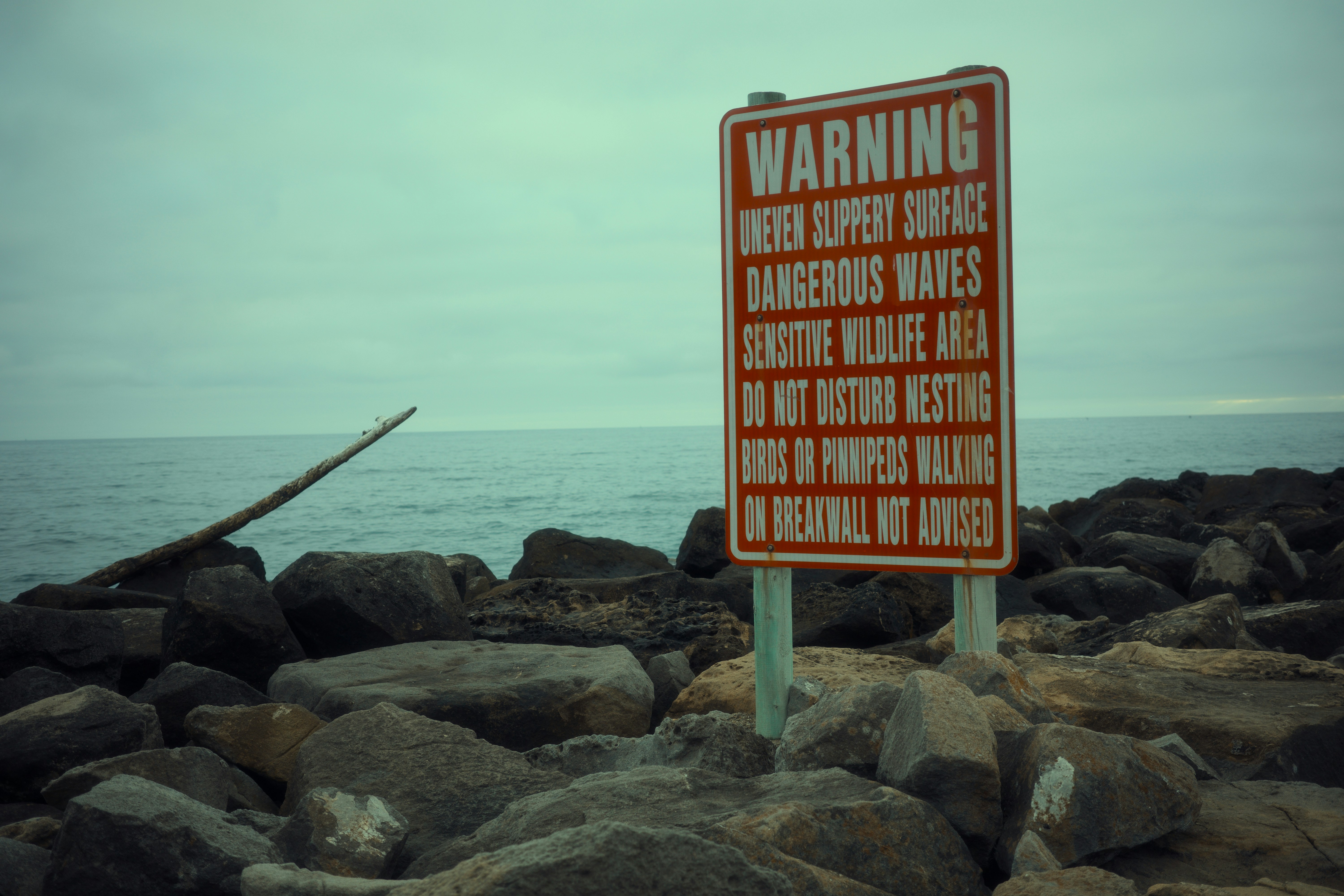 Disconnect to Reconnect: on the Road Again - Photography