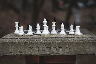 Chess pieces arranged on a stone surface