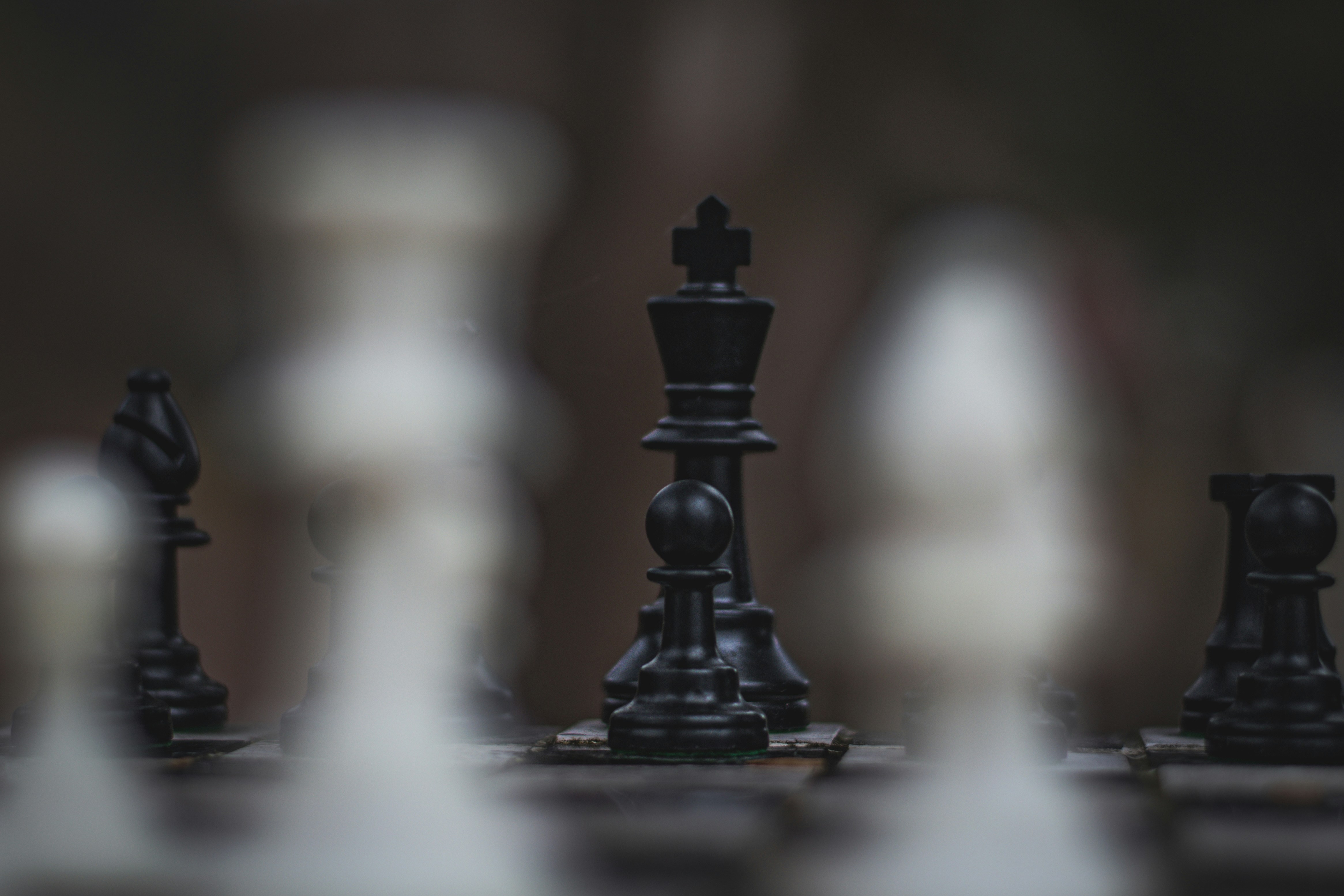 Photo by freefolkphoto