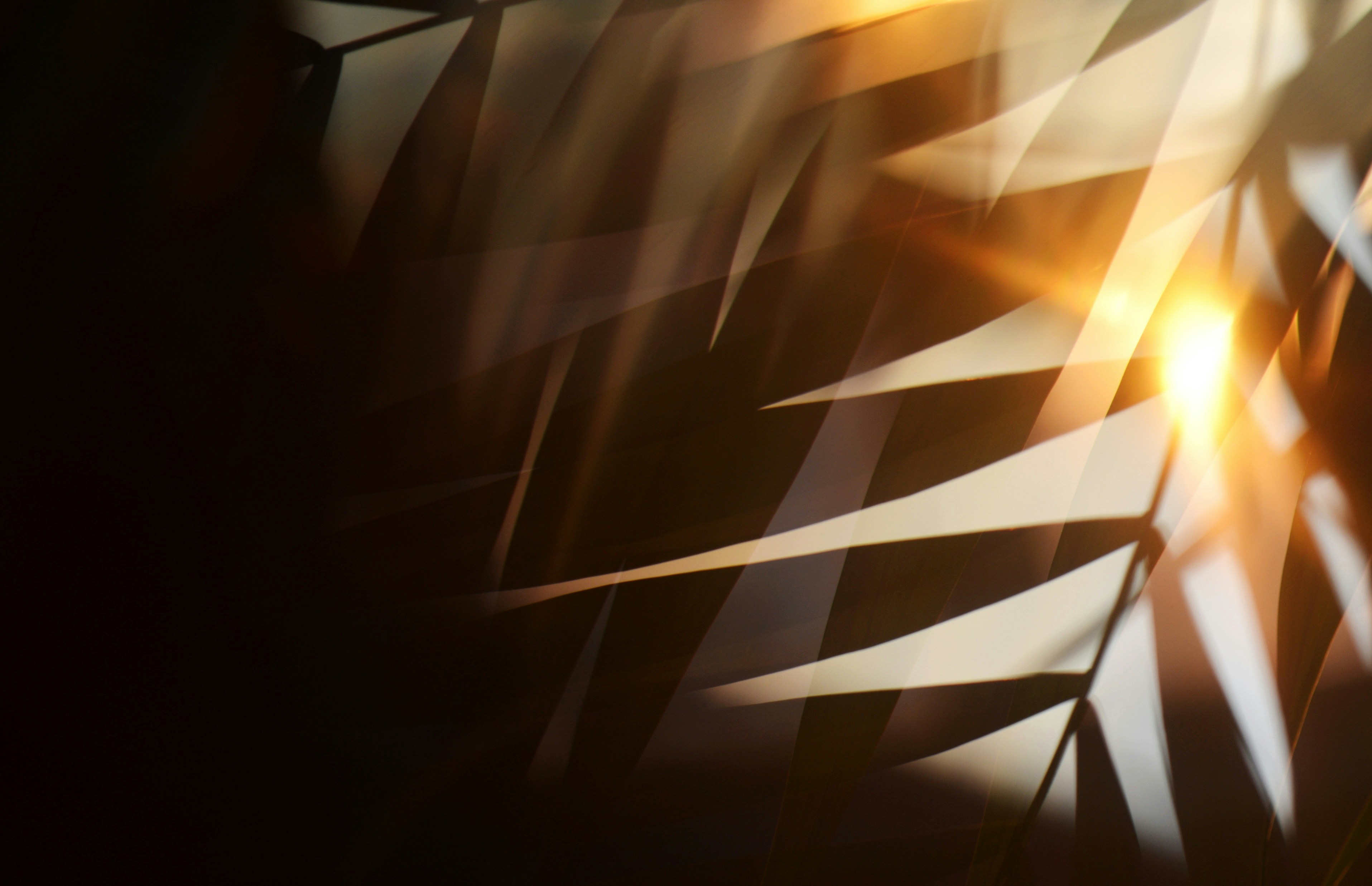 Photo by cherstve_pechivo