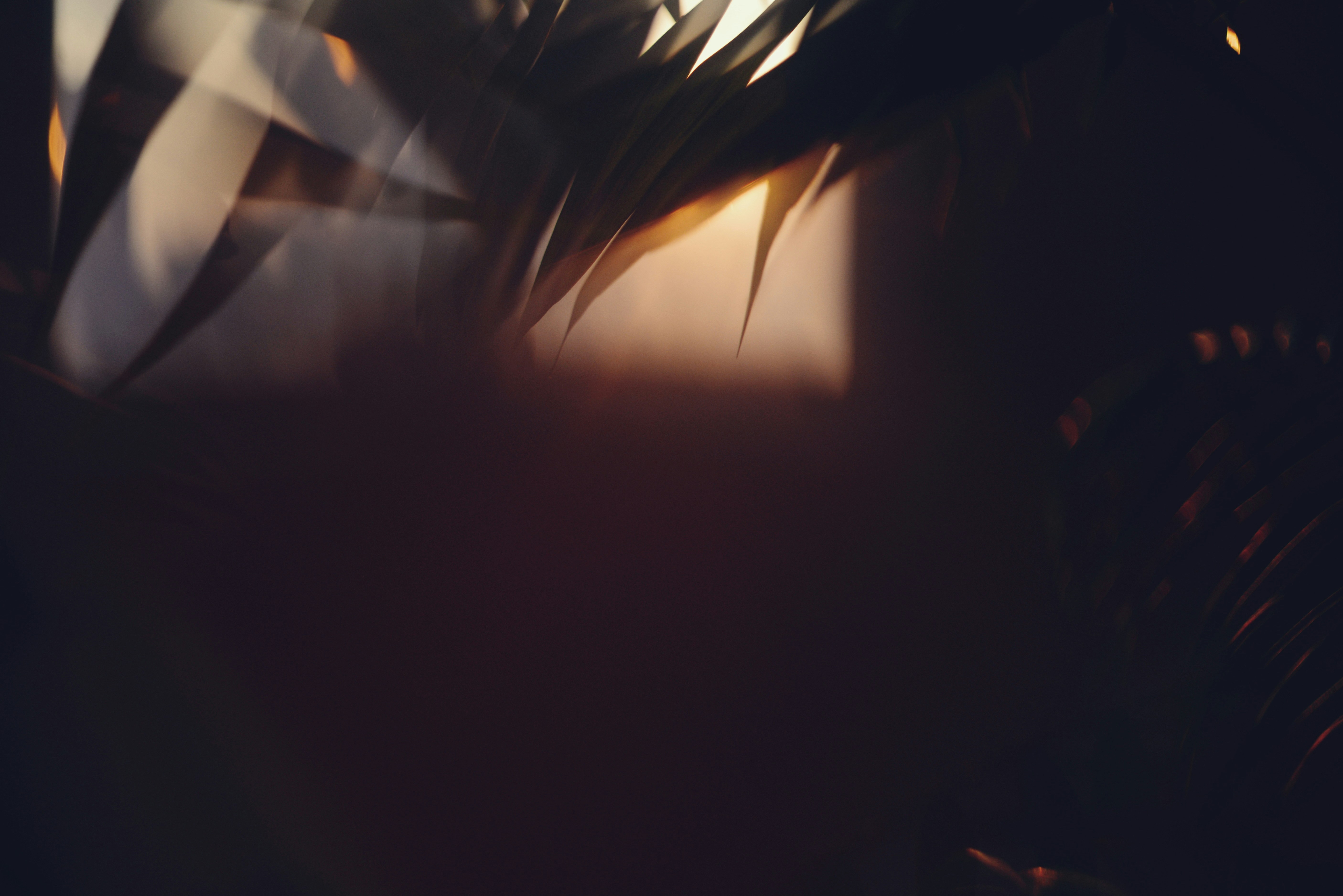 Photo by cherstve_pechivo