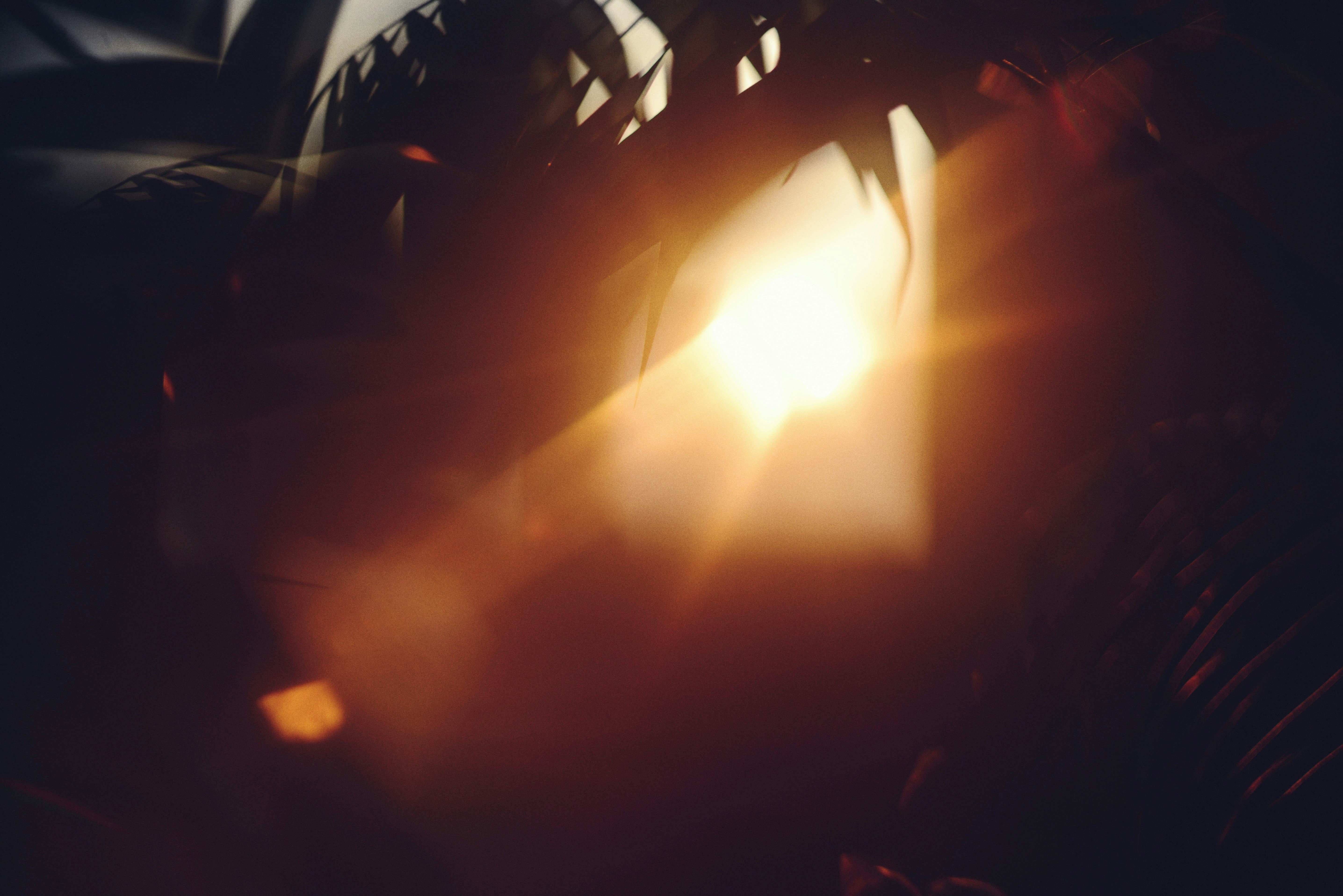 Photo by cherstve_pechivo