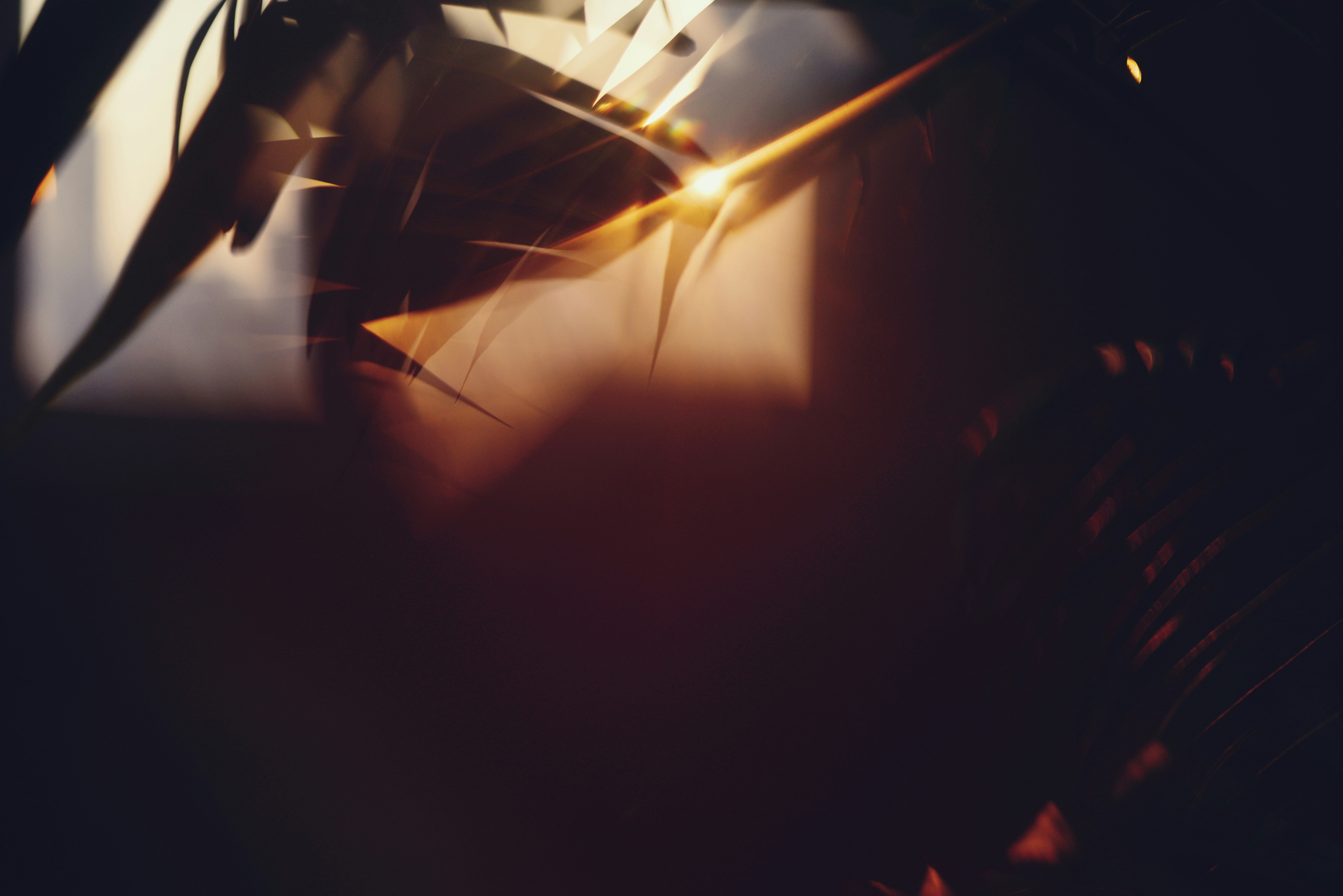 Photo by cherstve_pechivo