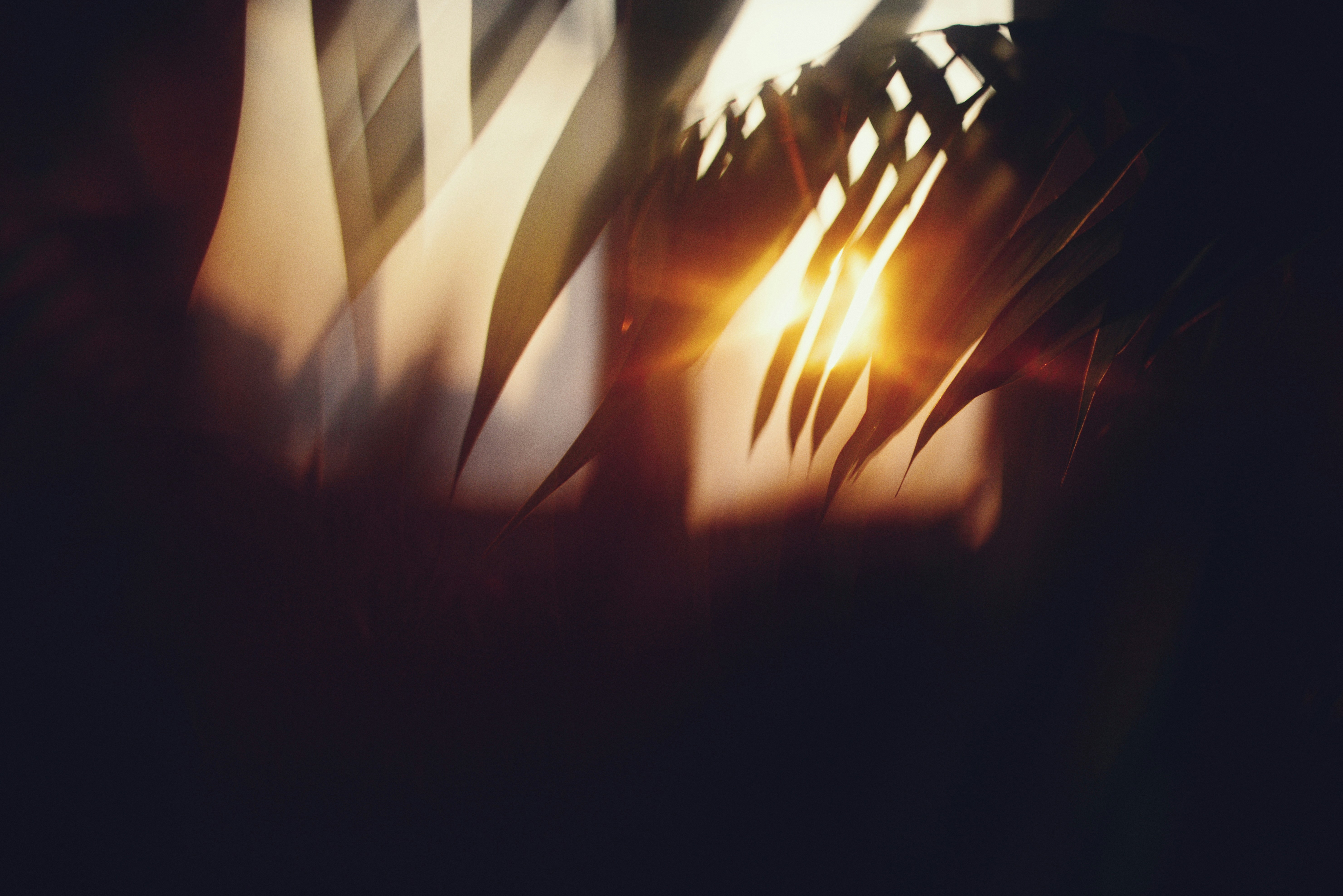 Photo by cherstve_pechivo