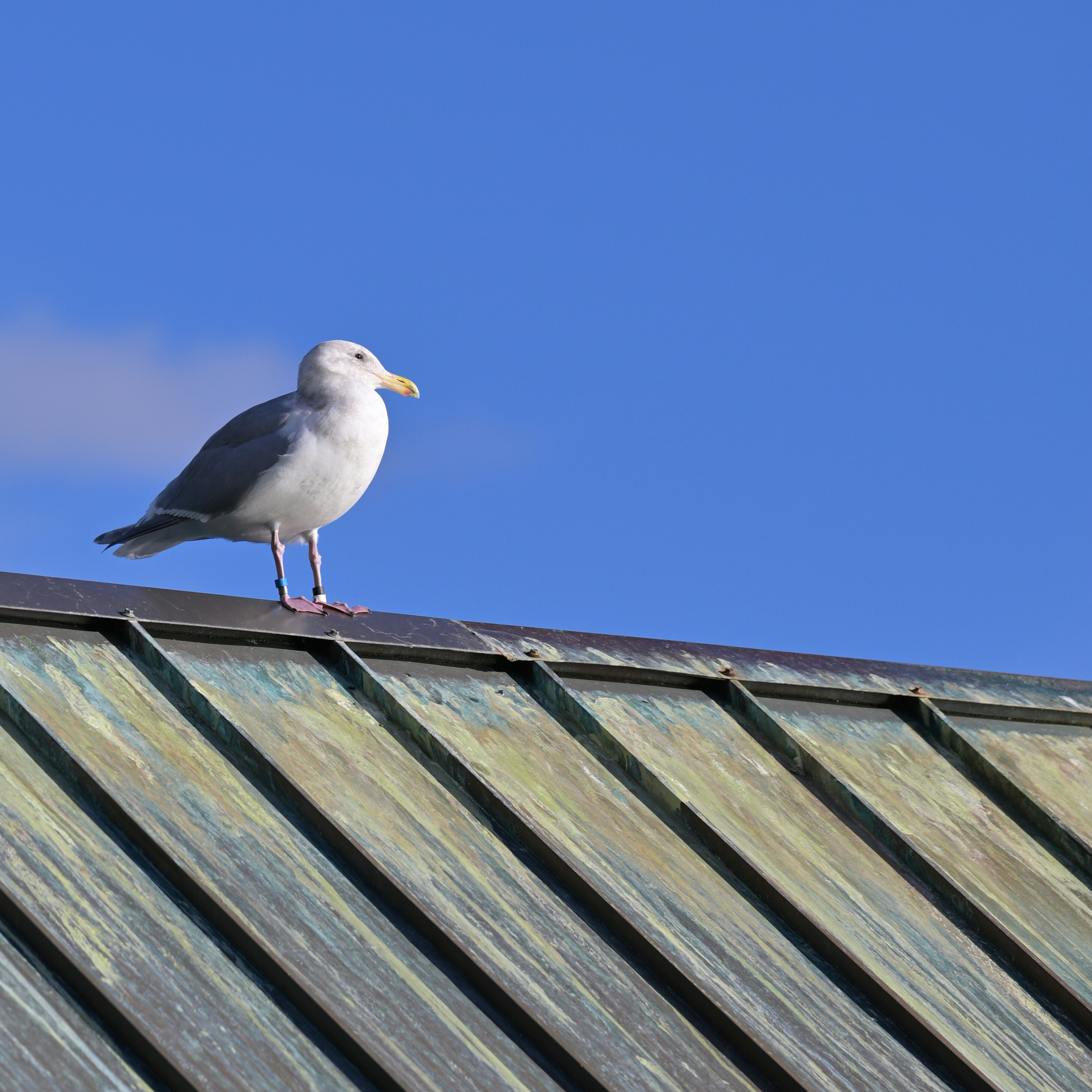 Photo by jonathankslim