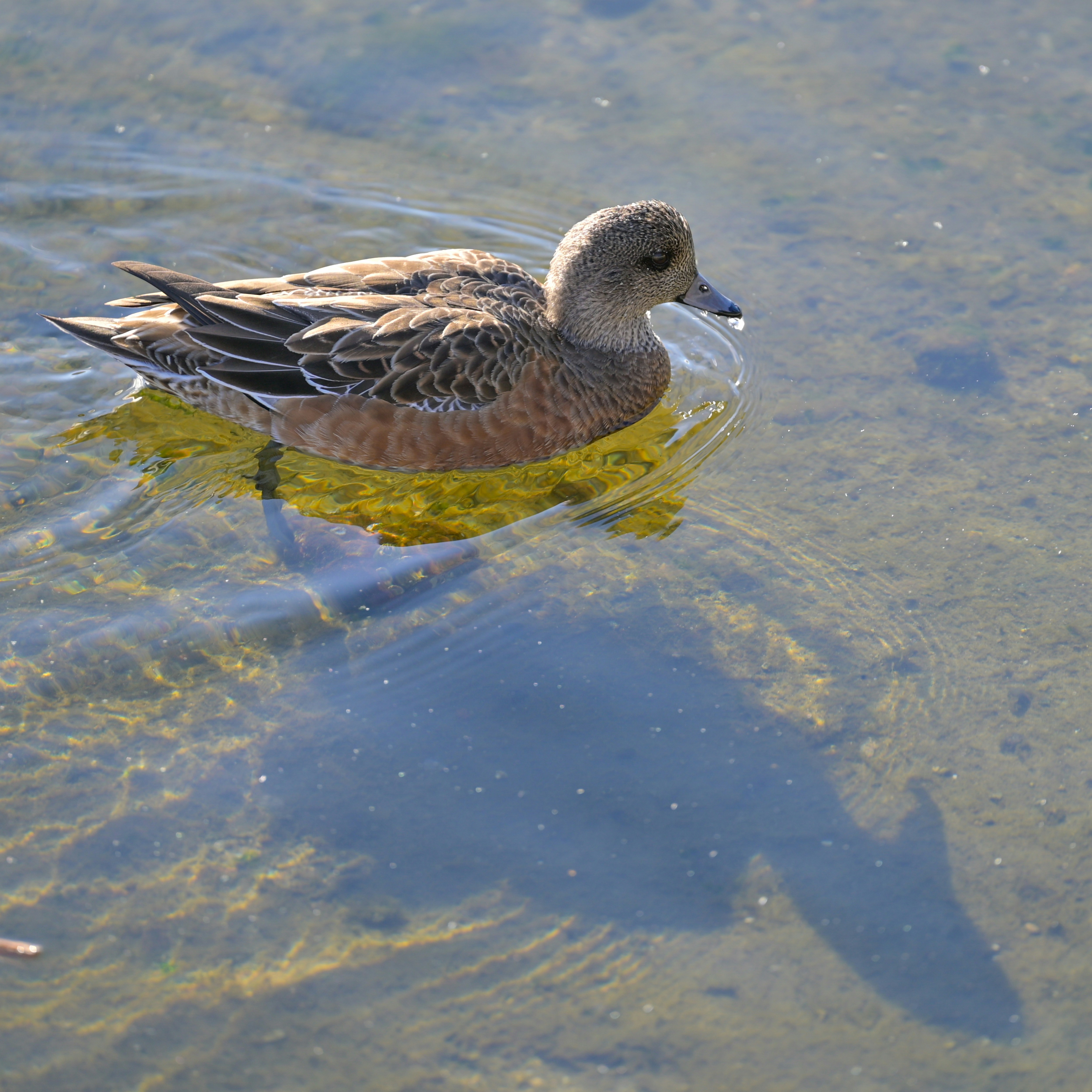 Photo by jonathankslim