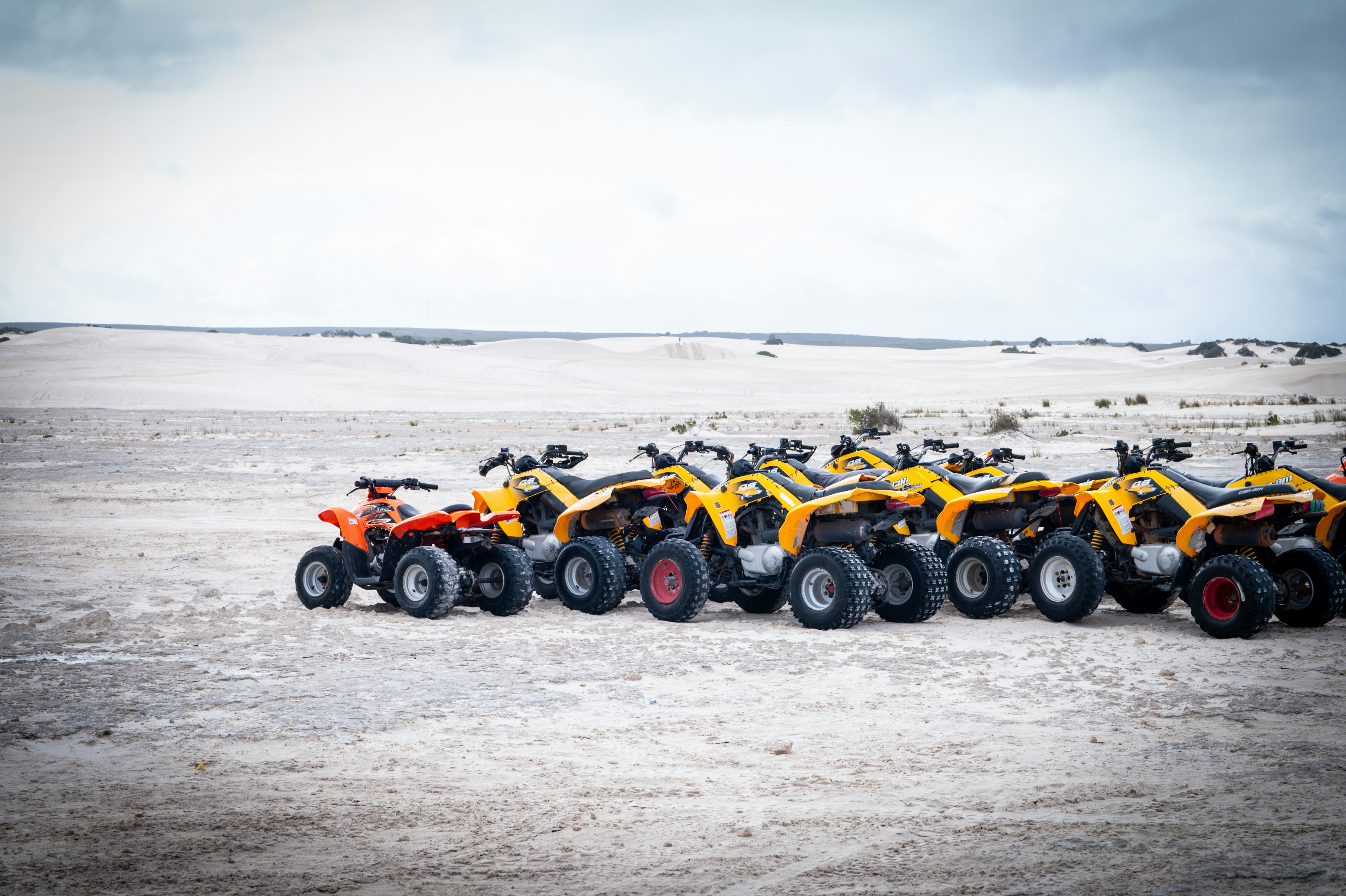Several yellow atvs parked in a desert
