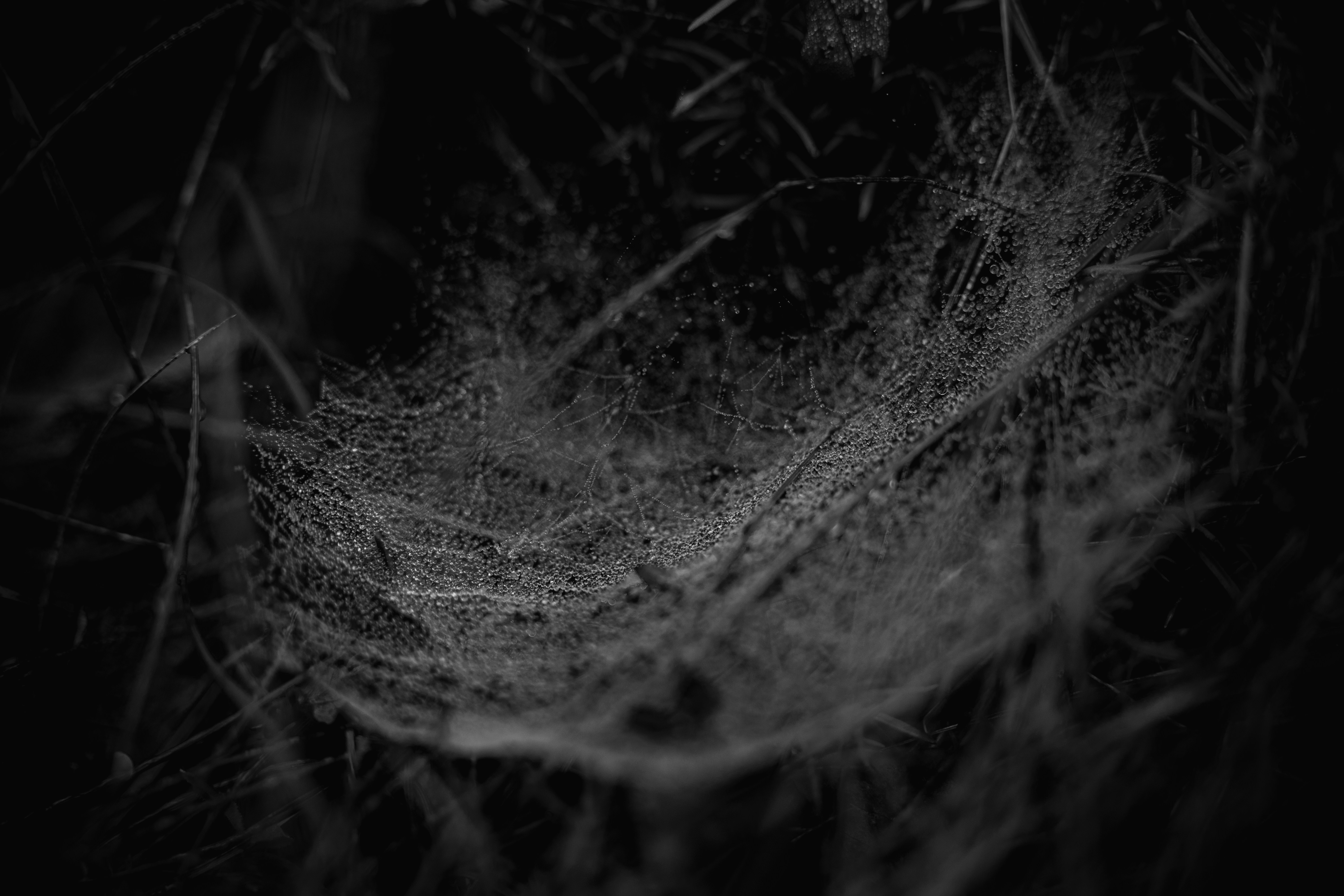 Photo by britosebastian