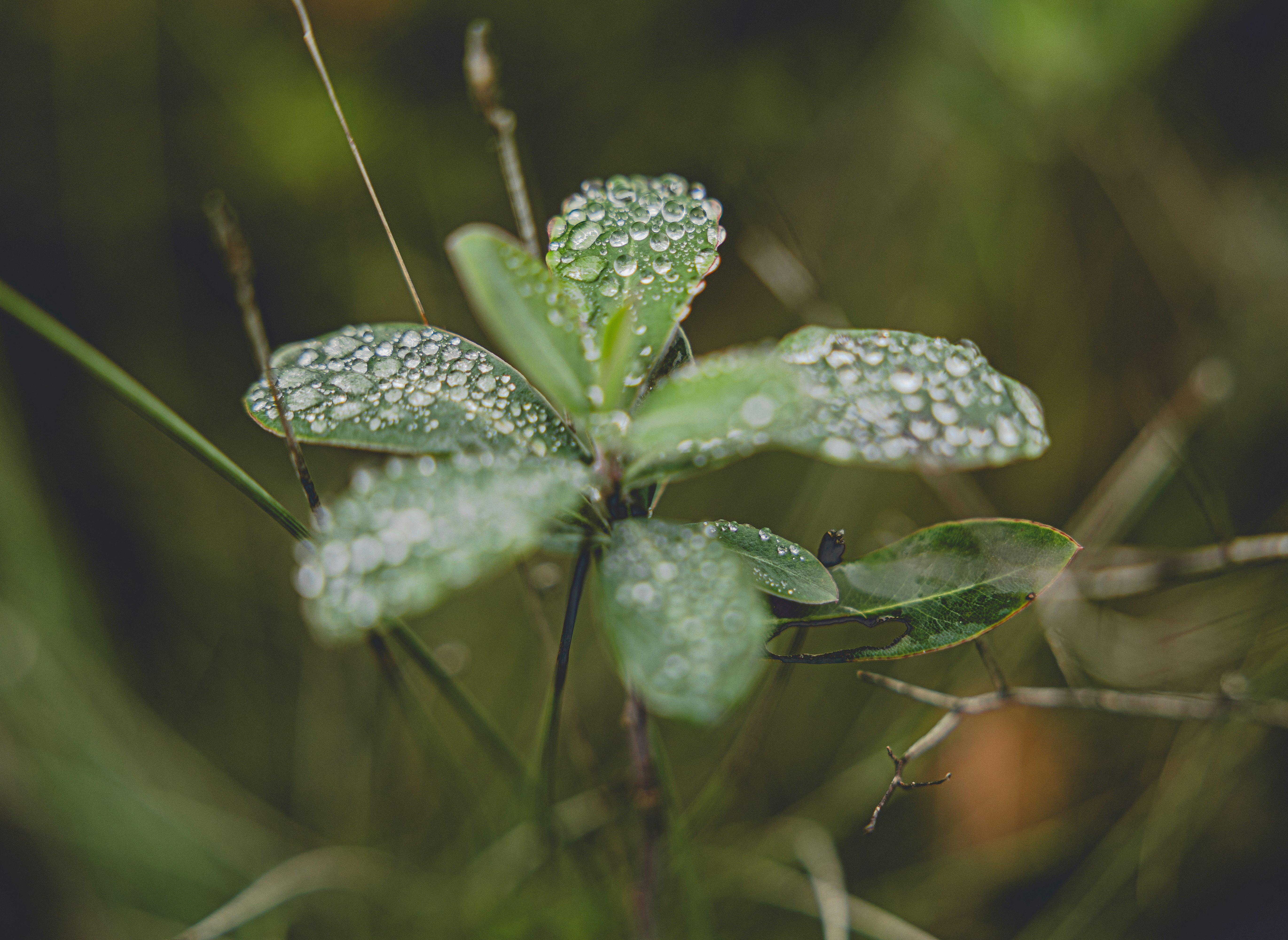 Photo by britosebastian