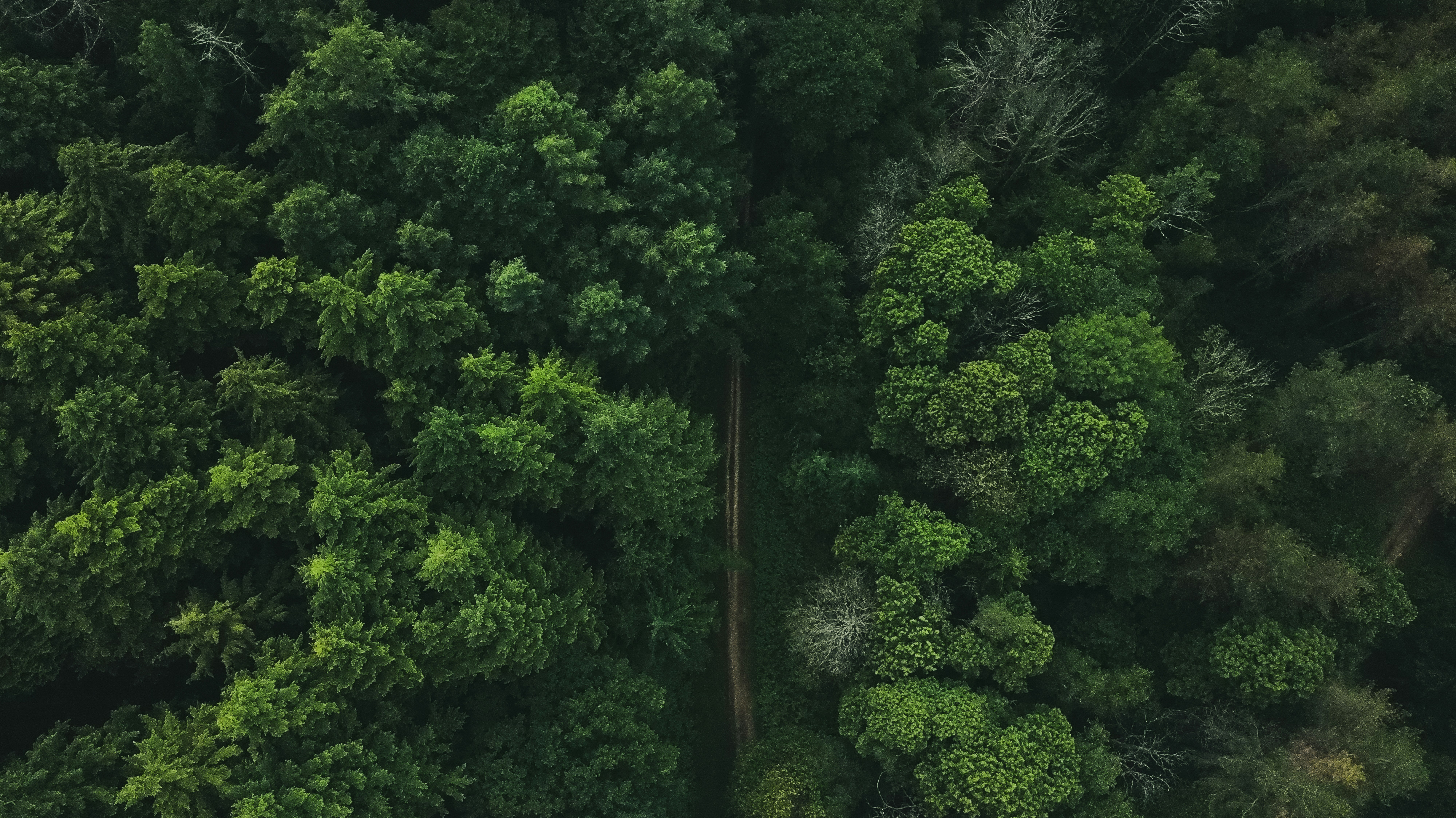 Photo by willcorrigan06