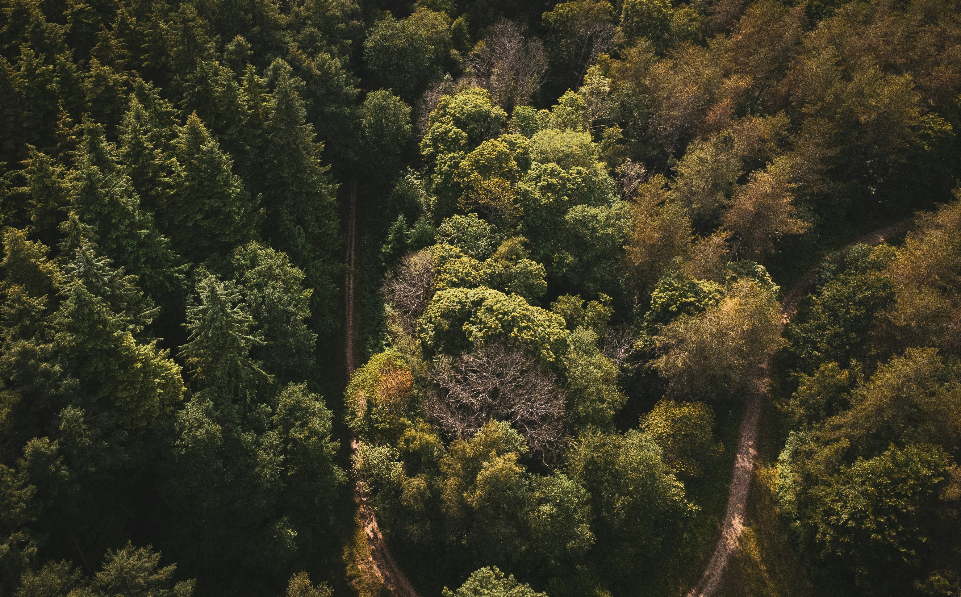 Photo by willcorrigan06