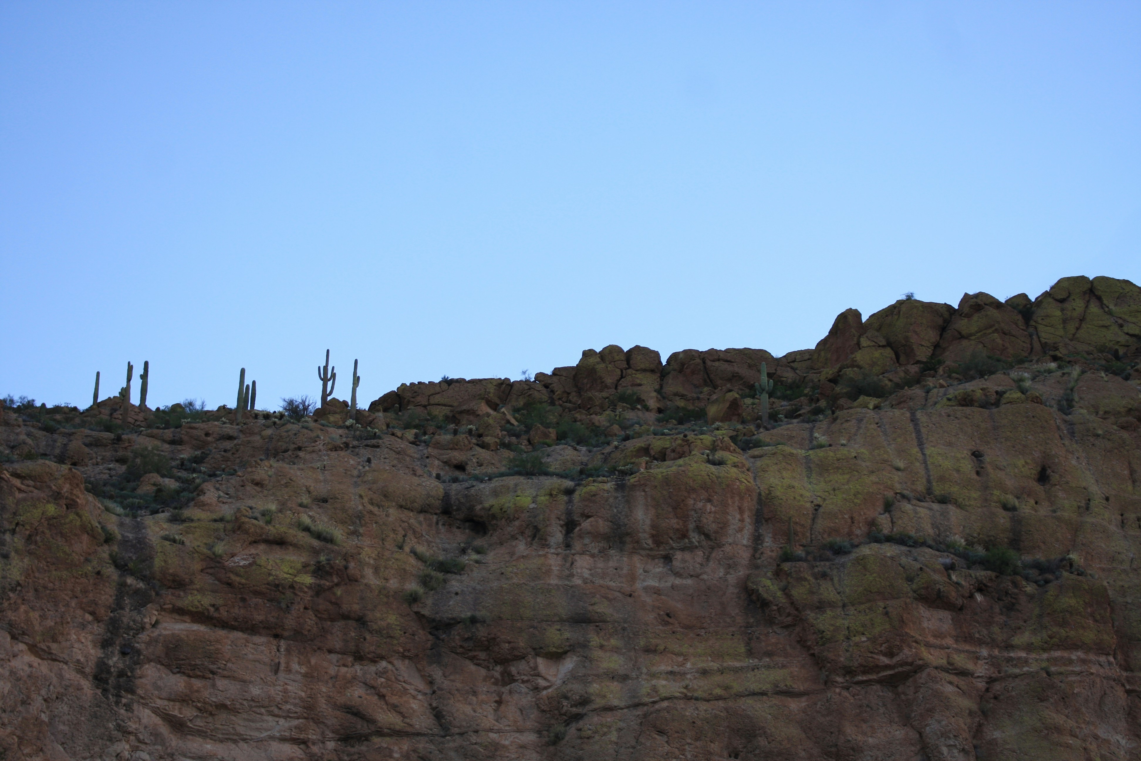 Photo by abhinavgorantla