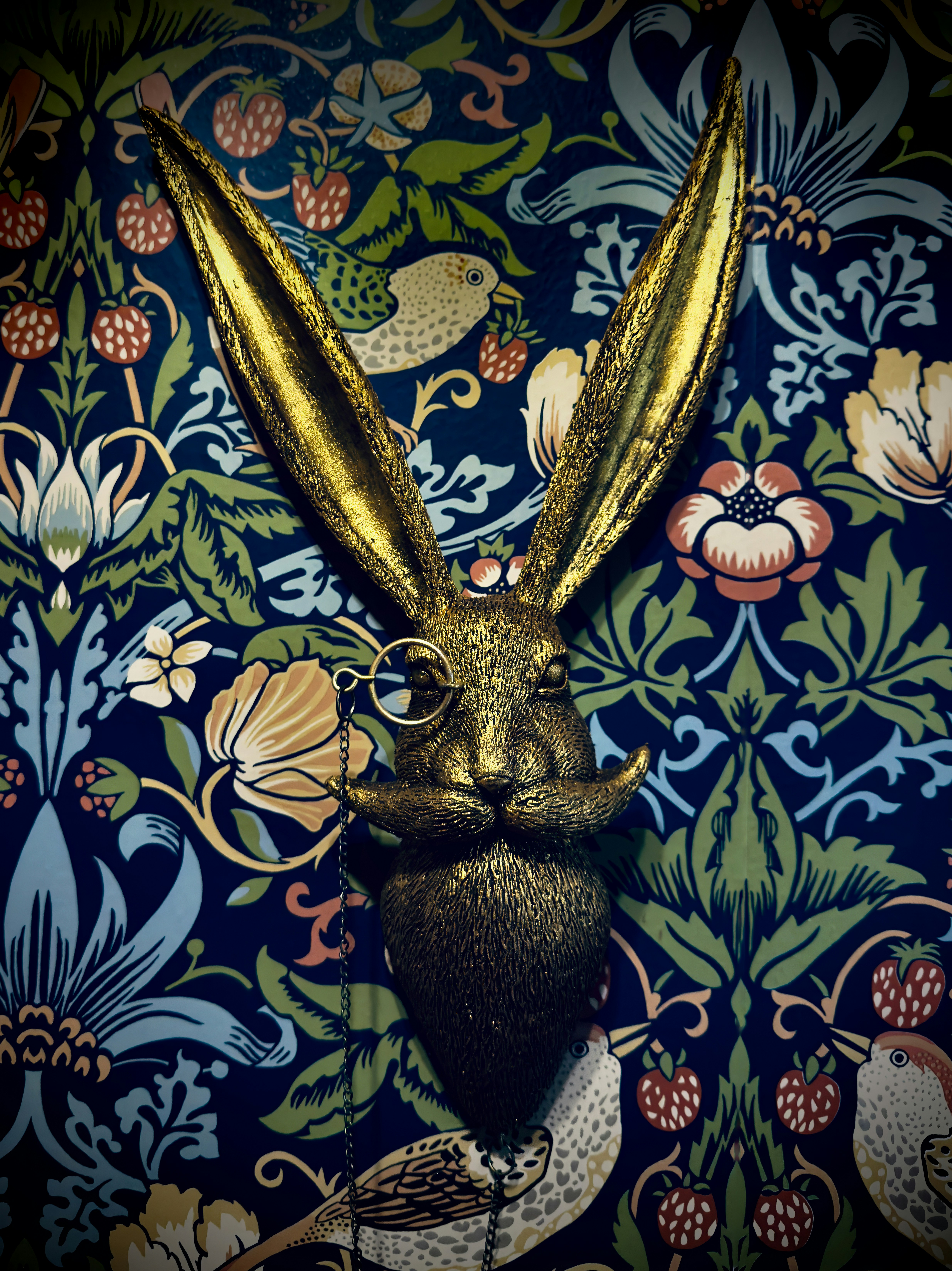 Golden rabbit head with monocle and mustache photo – Free Rabbit Image ...