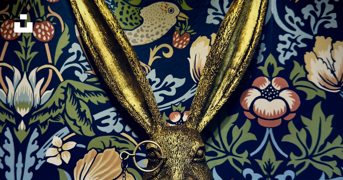 Golden rabbit head with monocle and mustache photo – Free Rabbit Image ...