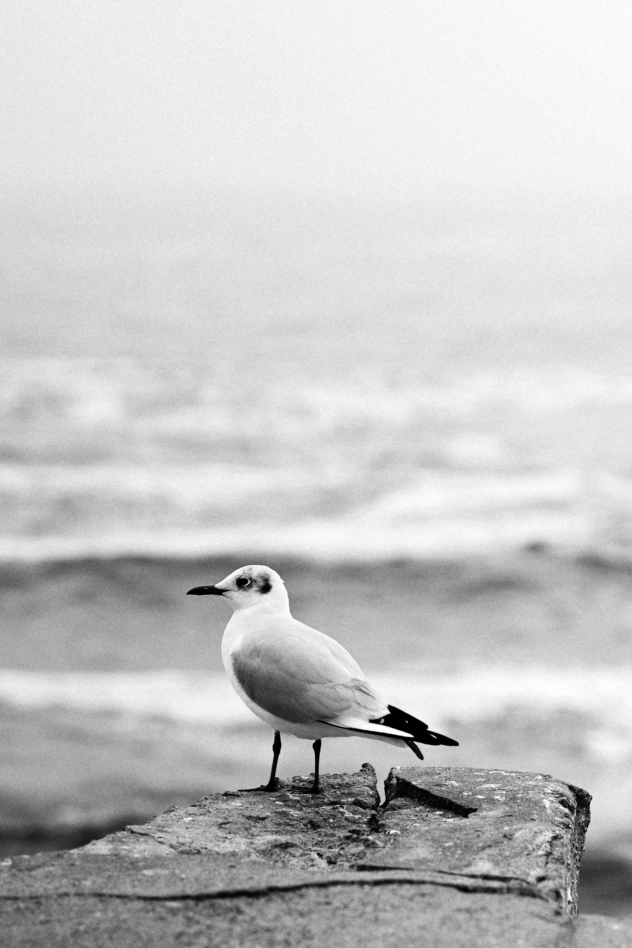 Photo by lvovandrewph