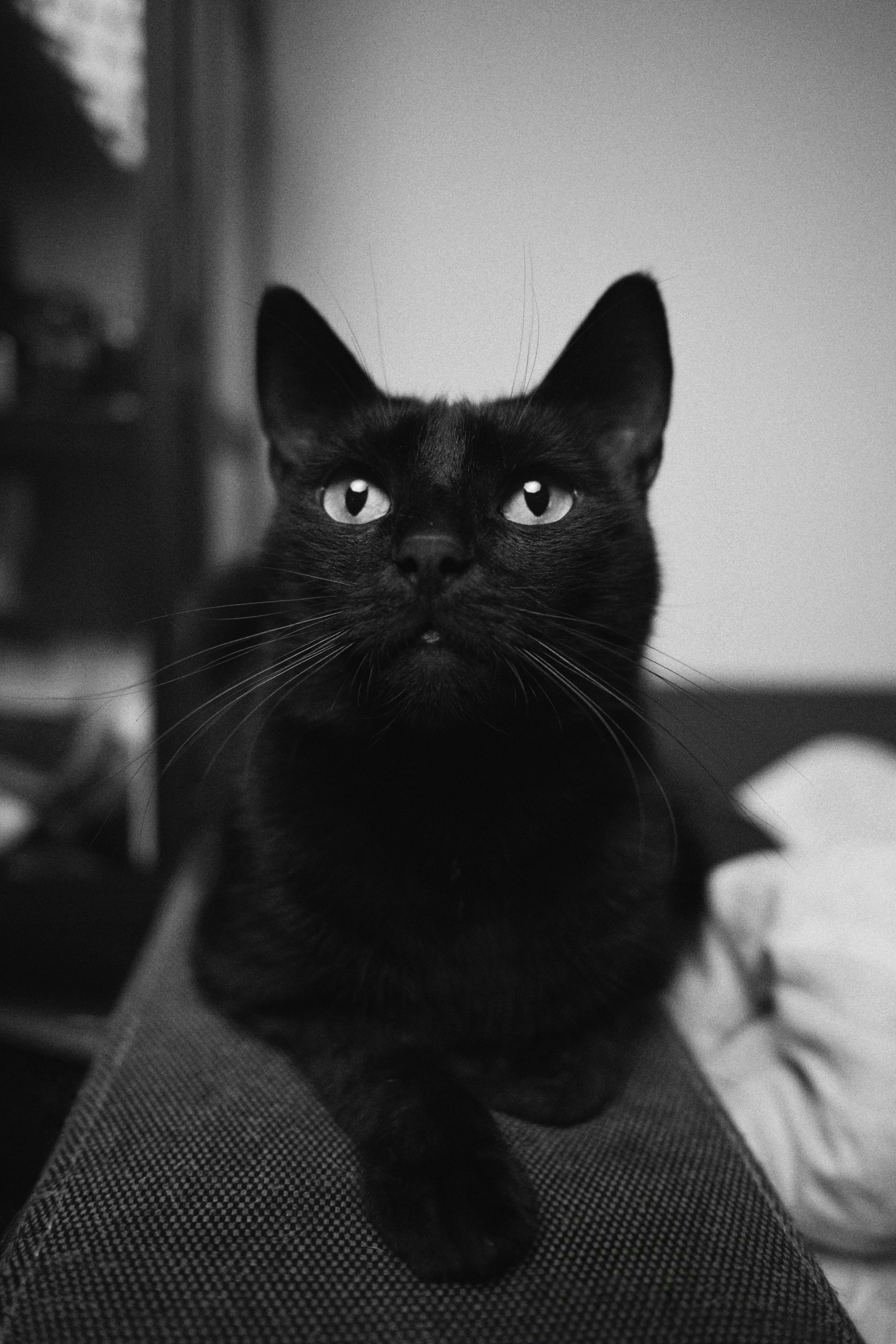 Photo by lvovandrewph